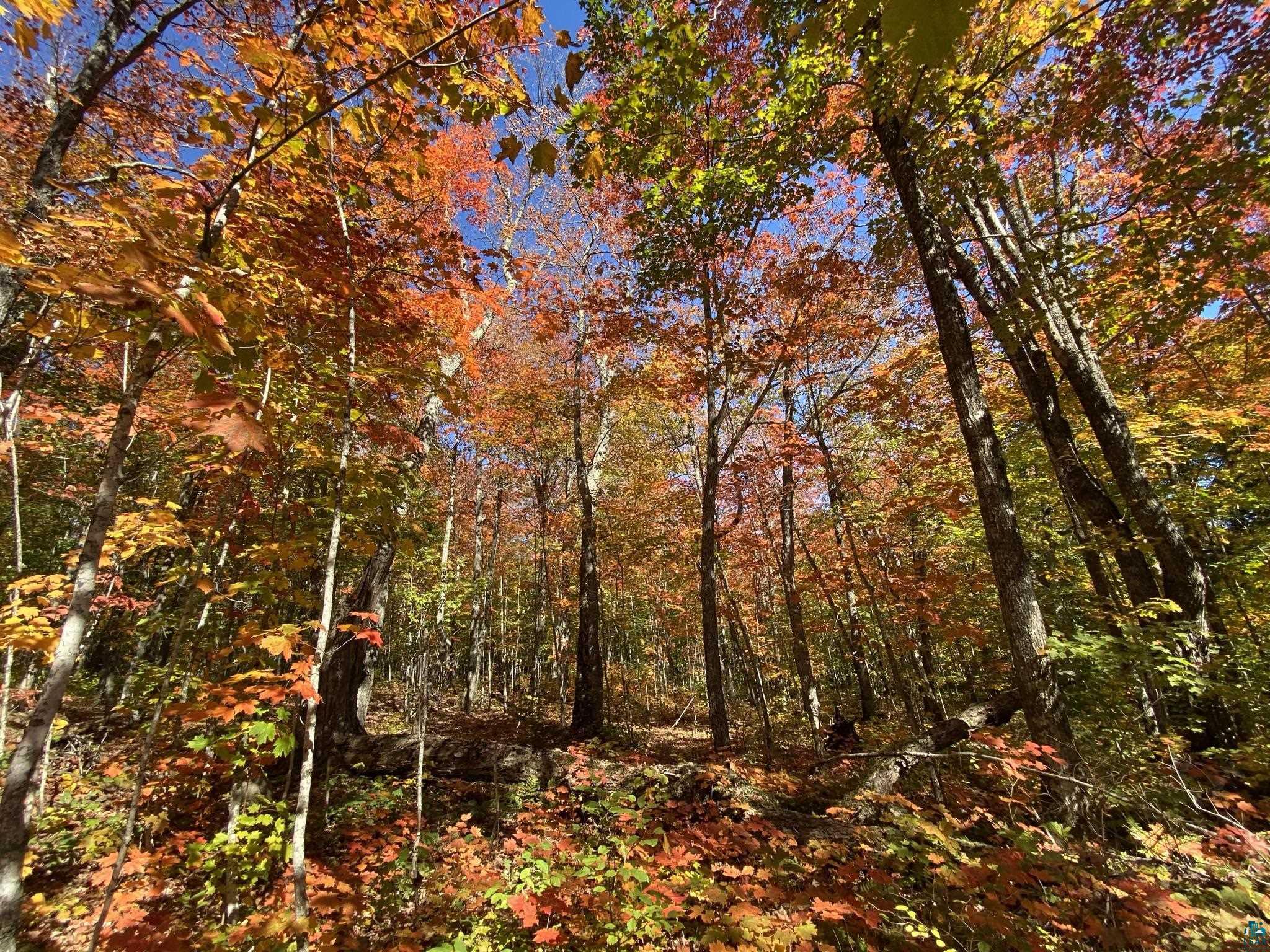 Lot 6 Blk 3 Hillside Dr Lutsen MN 55612 6108144 image1