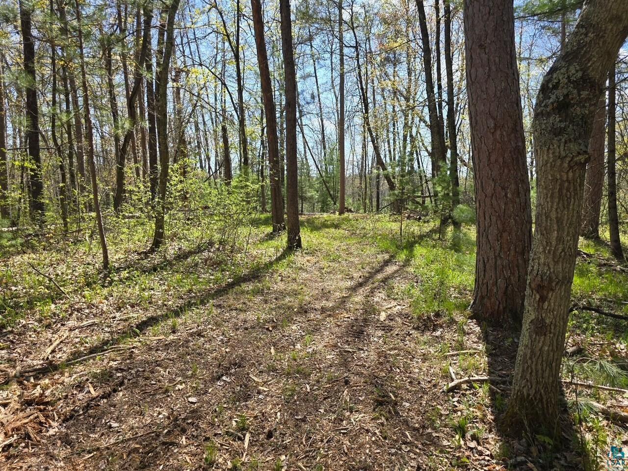 Lot 6 Hwy 70 Spooner WI 54801 - Yellow 6125312 image11