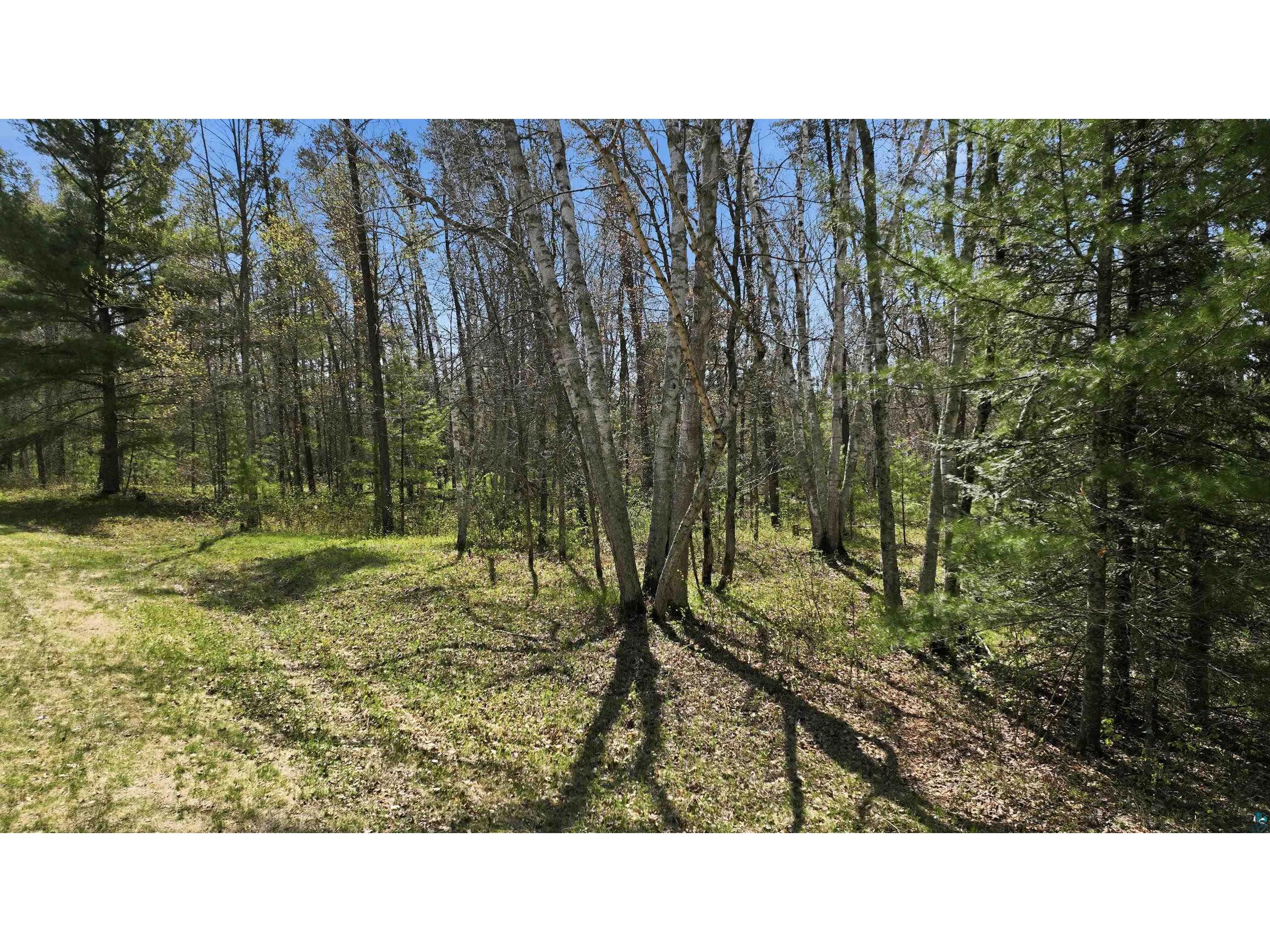 Lot 6 Hwy 70 Spooner WI 54801 - Yellow 6125312 image3