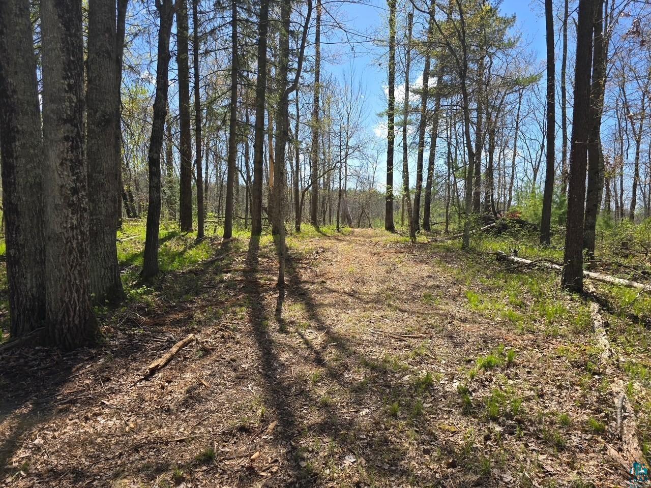 Lot 6 Hwy 70 Spooner WI 54801 - Yellow 6125312 image9