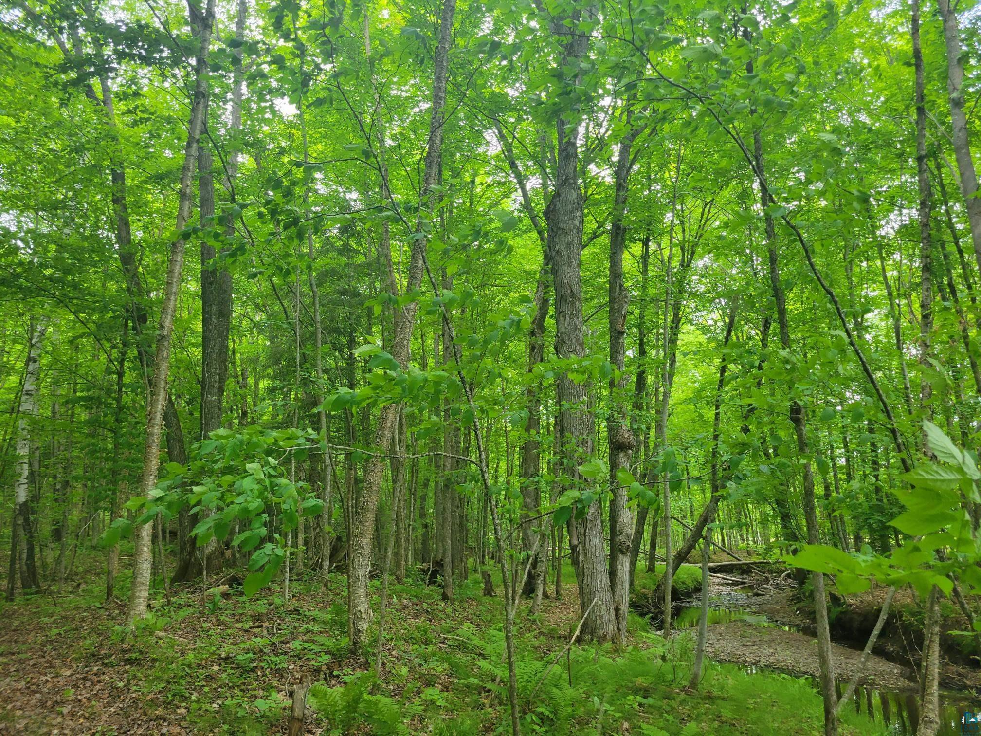 Lot 6 Mulligan Lane Highbridge WI 54846 - Krause Creek 6112951 image1