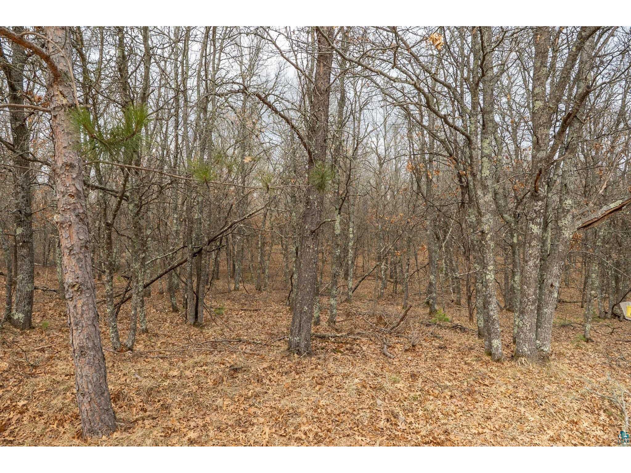 Lot 6 S Madison Ave Wascott WI 54838 6124308 image6