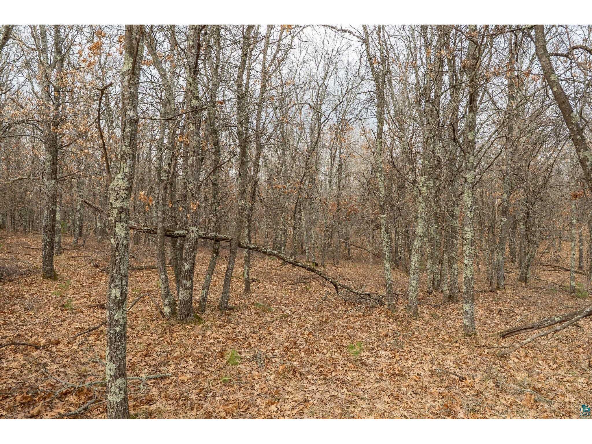 Lot 6 S Madison Ave Wascott WI 54838 6124308 image7
