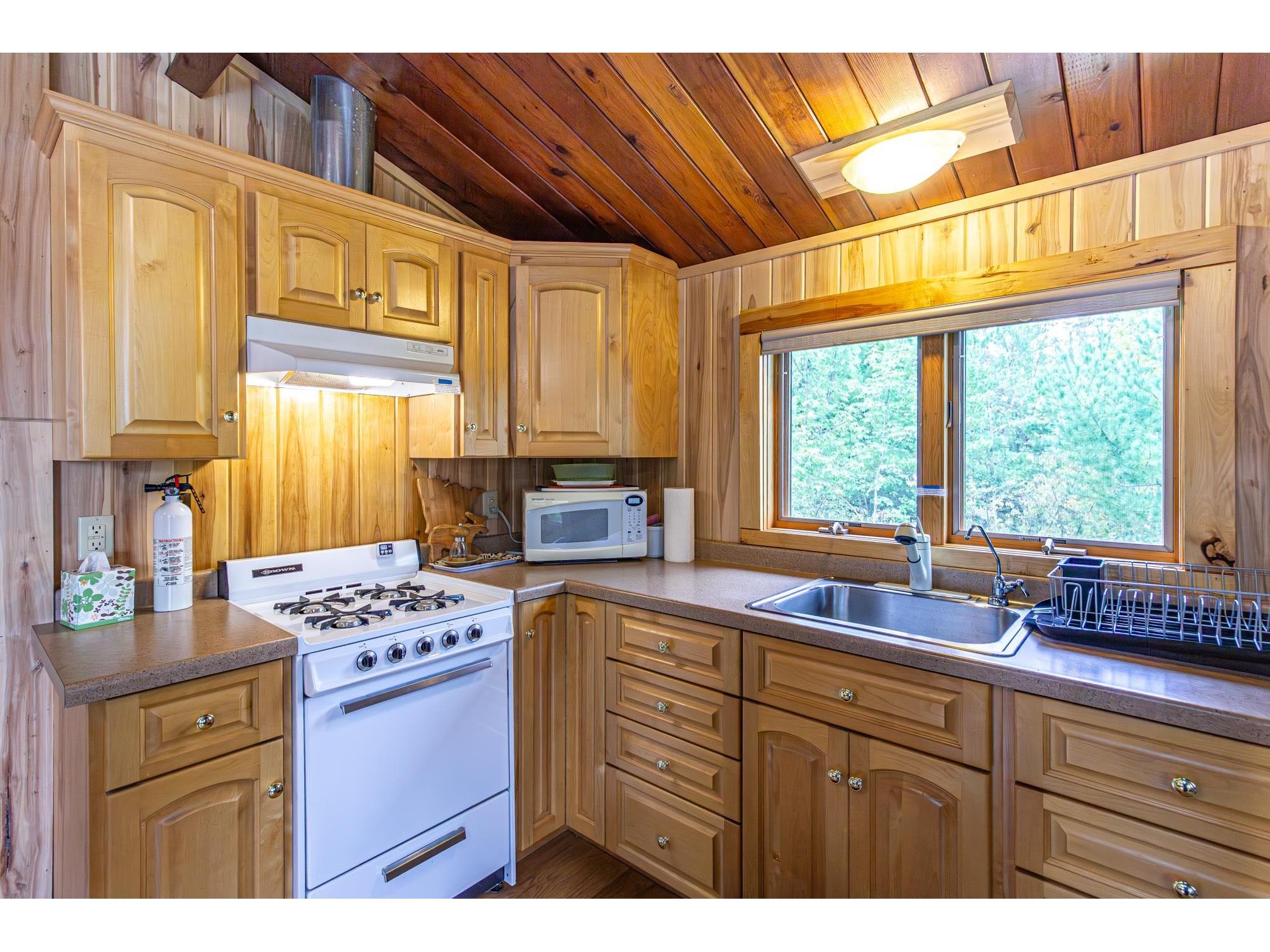 Lot 6 Snowbank Lake Ely MN 55731 - Snowbank 6121957 image5