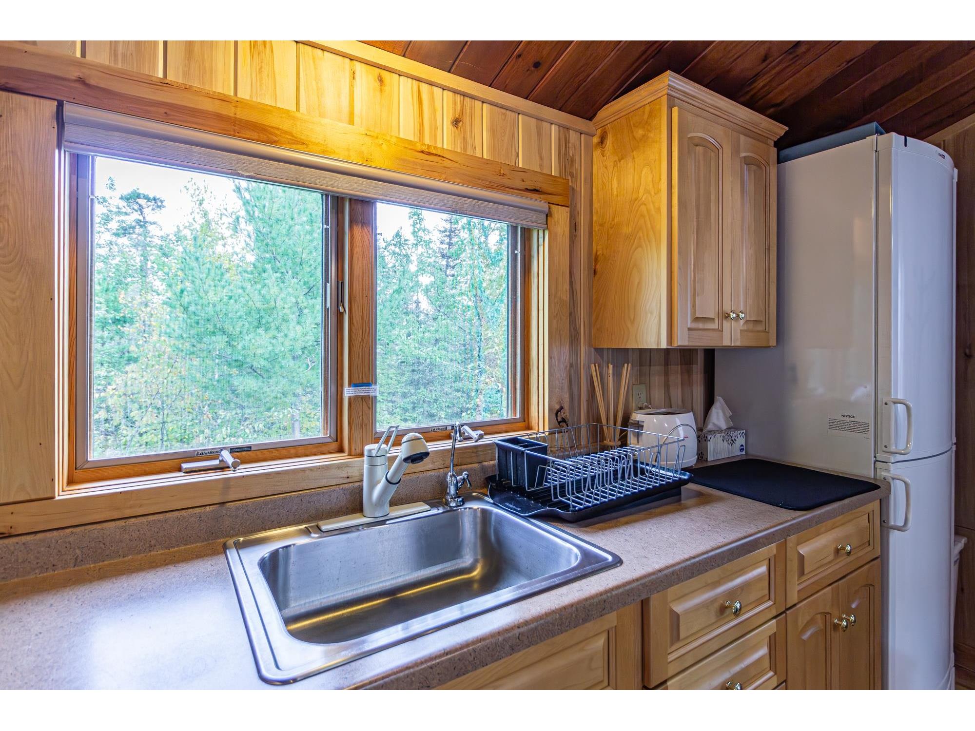 Lot 6 Snowbank Lake Ely MN 55731 - Snowbank 6121957 image7