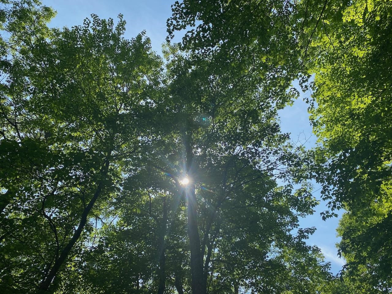 Lot 7 Secluded Trail Hayward WI 54843 6117728 image11