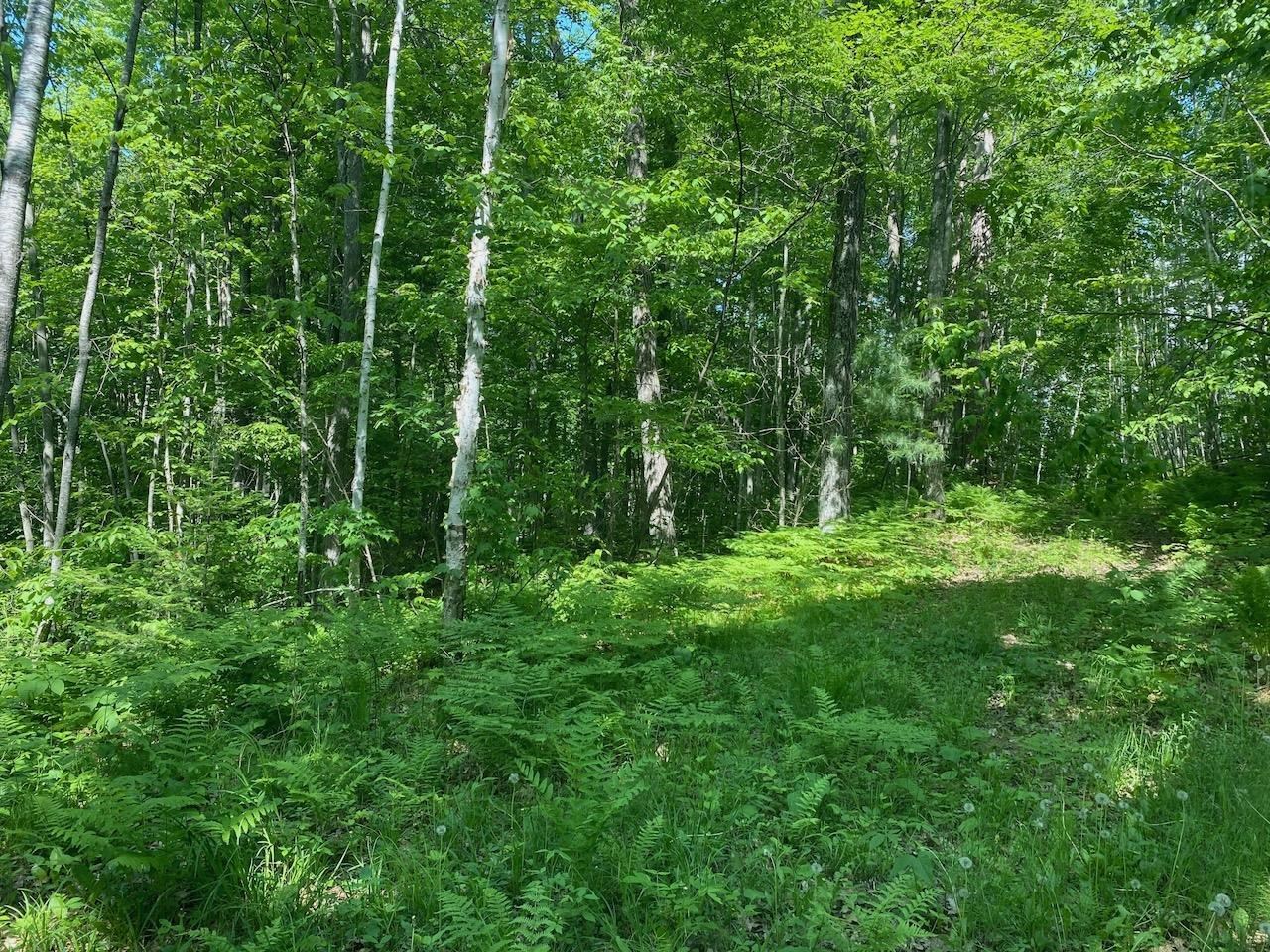 Lot 7 Secluded Trail Hayward WI 54843 6117728 image14