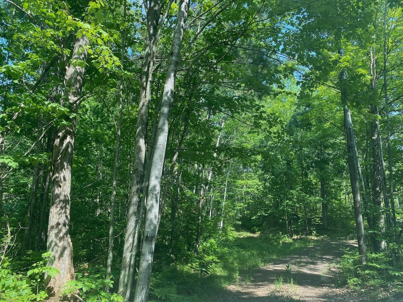 Lot 7 Secluded Trail Hayward WI 54843 6117728 image15