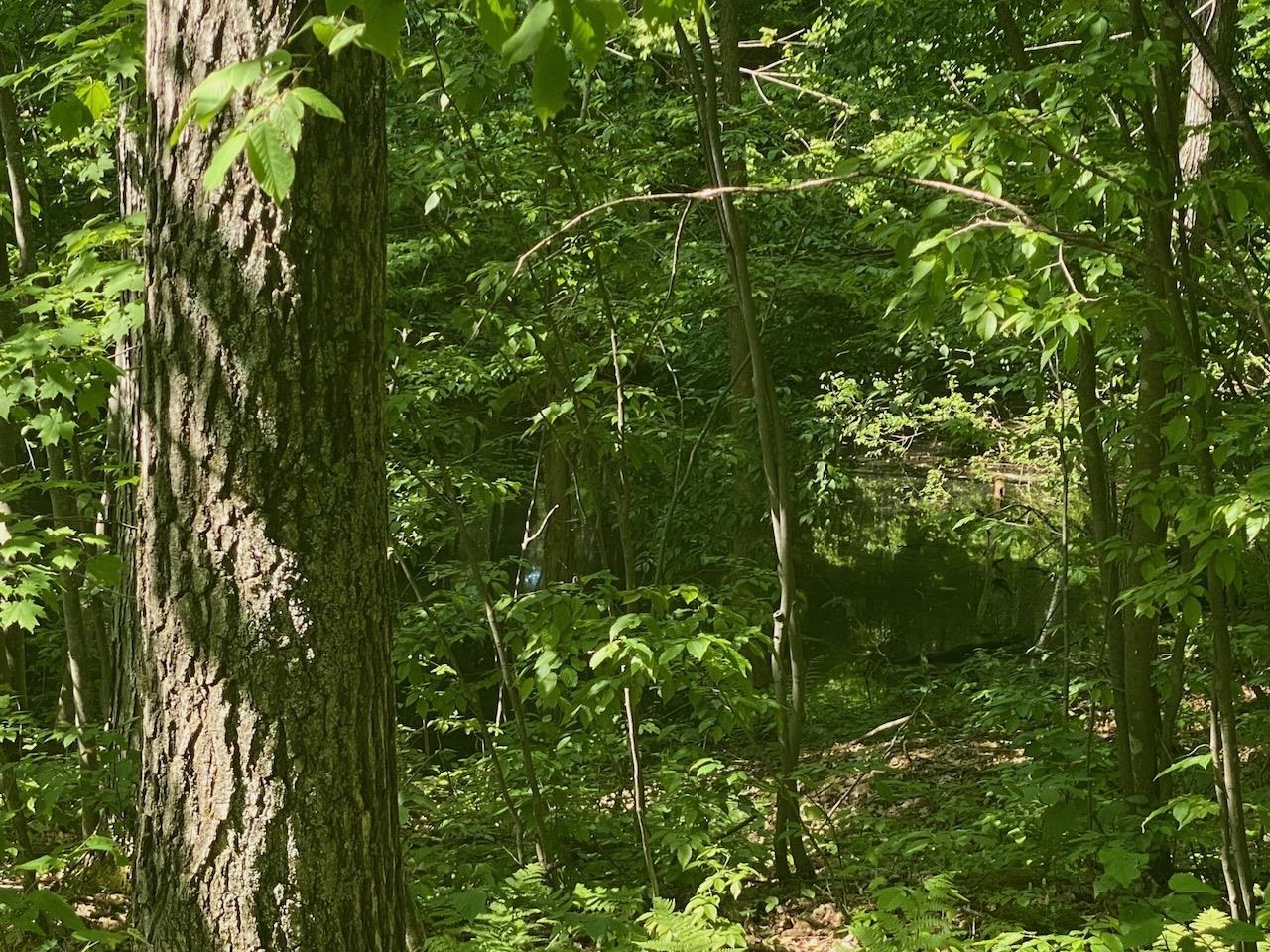 Lot 7 Secluded Trail Hayward WI 54843 6117728 image18