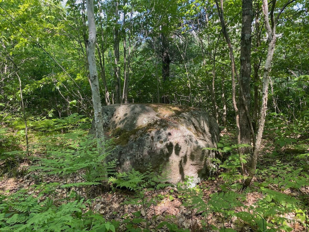 Lot 7 Secluded Trail Hayward WI 54843 6117728 image35