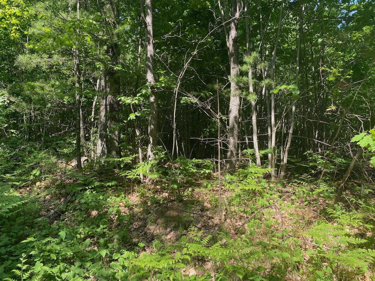 Lot 7 Secluded Trail Hayward WI 54843 6117728 image37