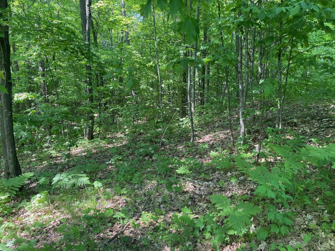 Lot 7 Secluded Trail Hayward WI 54843 6117728 image40