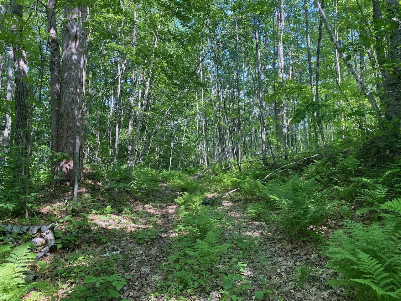 Lot 7 Secluded Trail Hayward WI 54843 6117728 image9