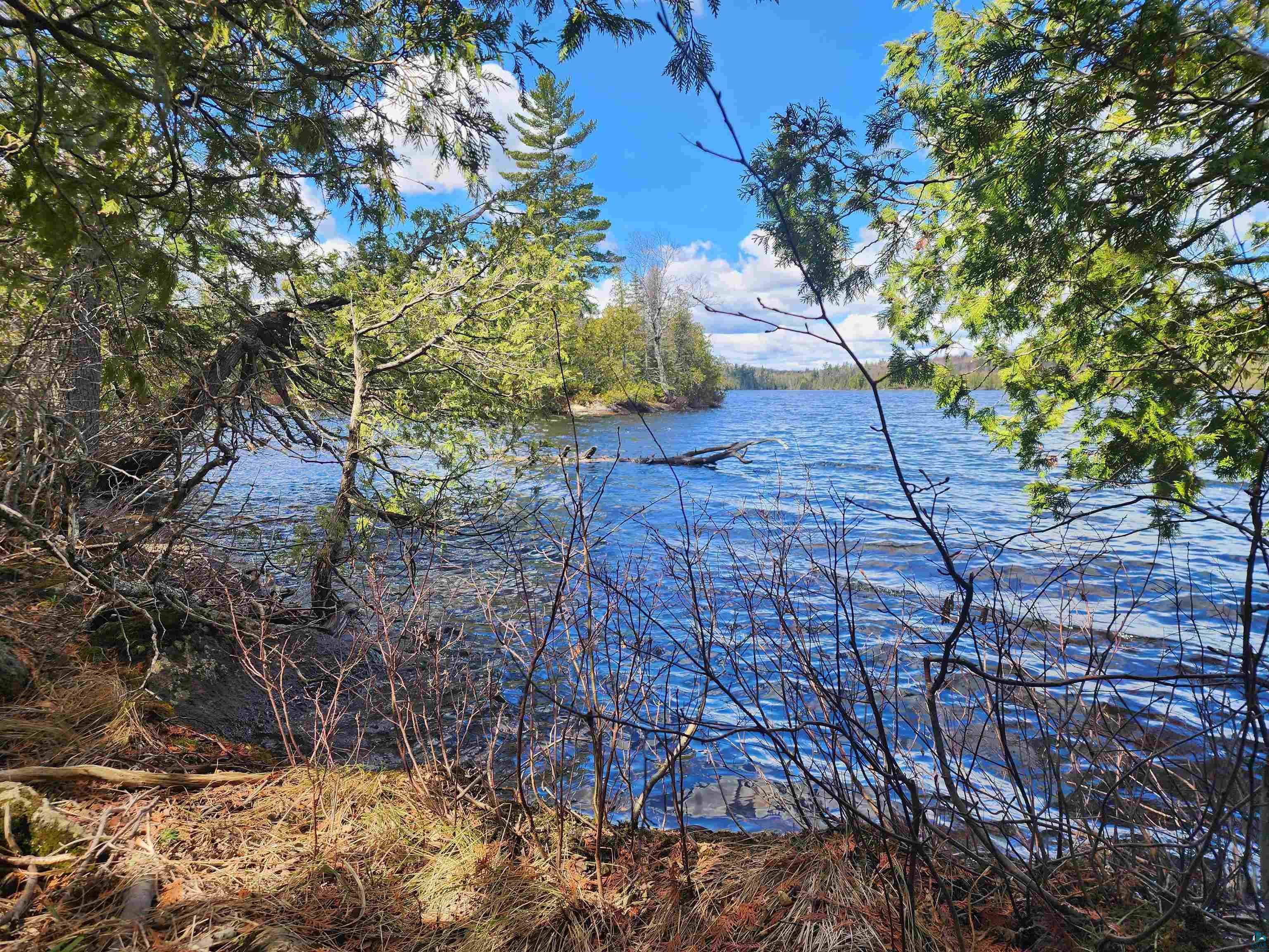 Lot 8 Wilderness Tr Hovland MN 55606 - Tom 6125304 image1