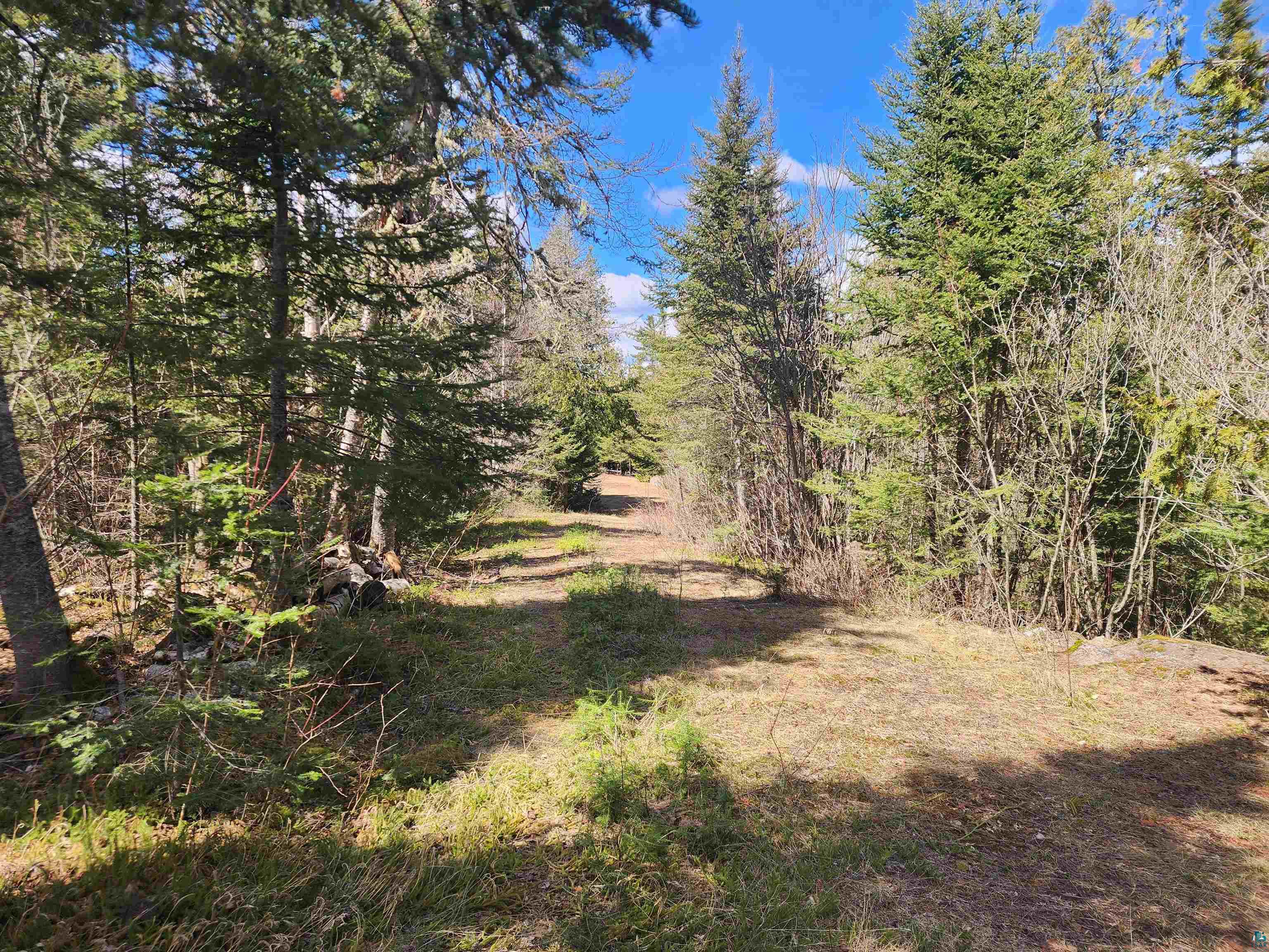 Lot 8 Wilderness Tr Hovland MN 55606 - Tom 6125304 image2