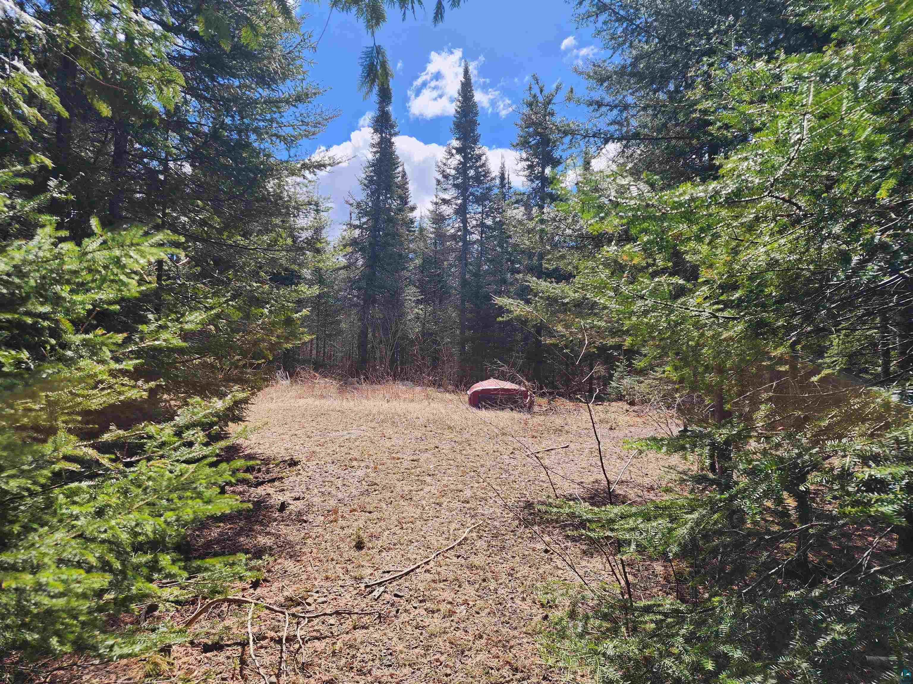 Lot 8 Wilderness Tr Hovland MN 55606 - Tom 6125304 image3