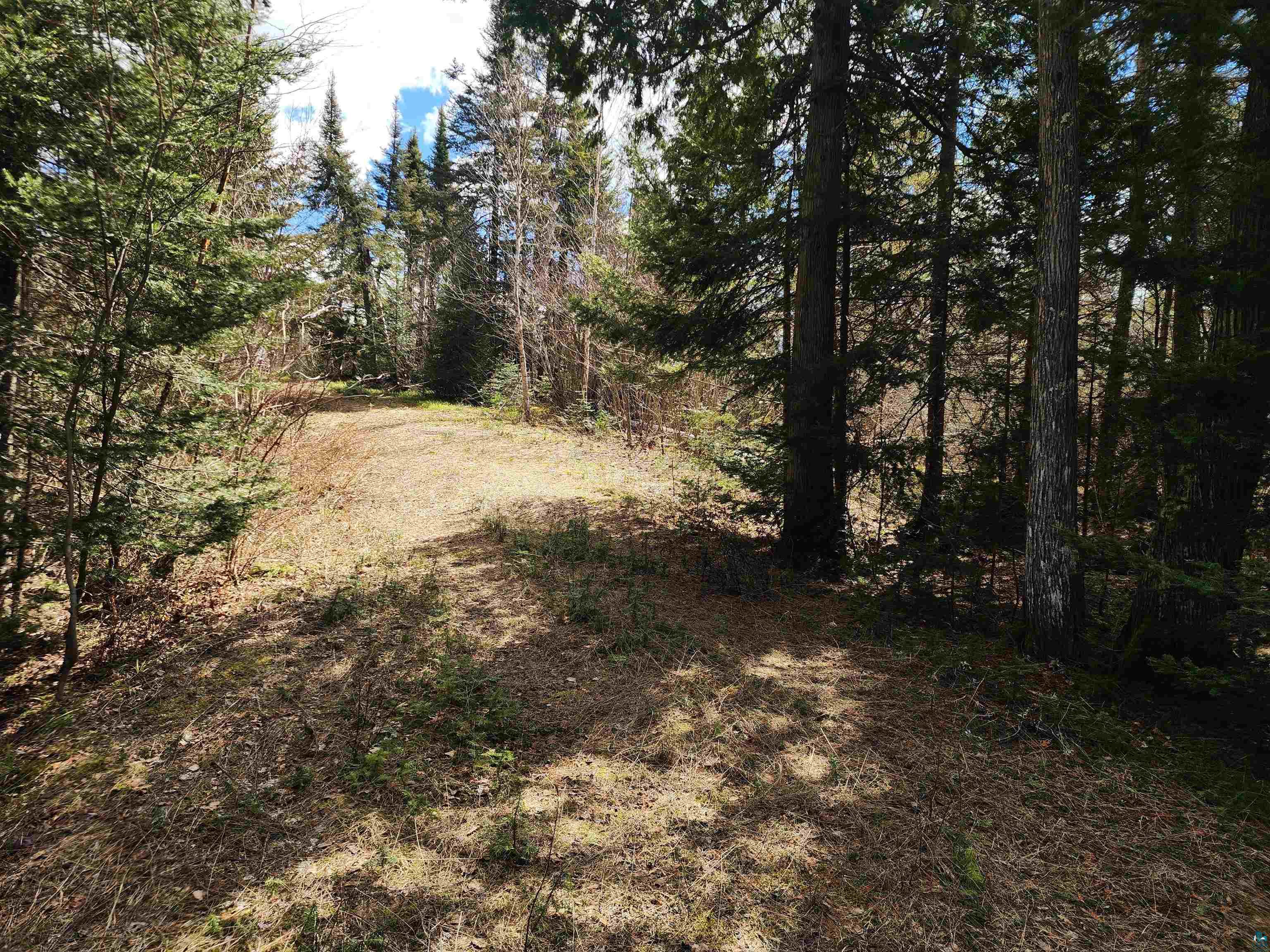 Lot 8 Wilderness Tr Hovland MN 55606 - Tom 6125304 image8