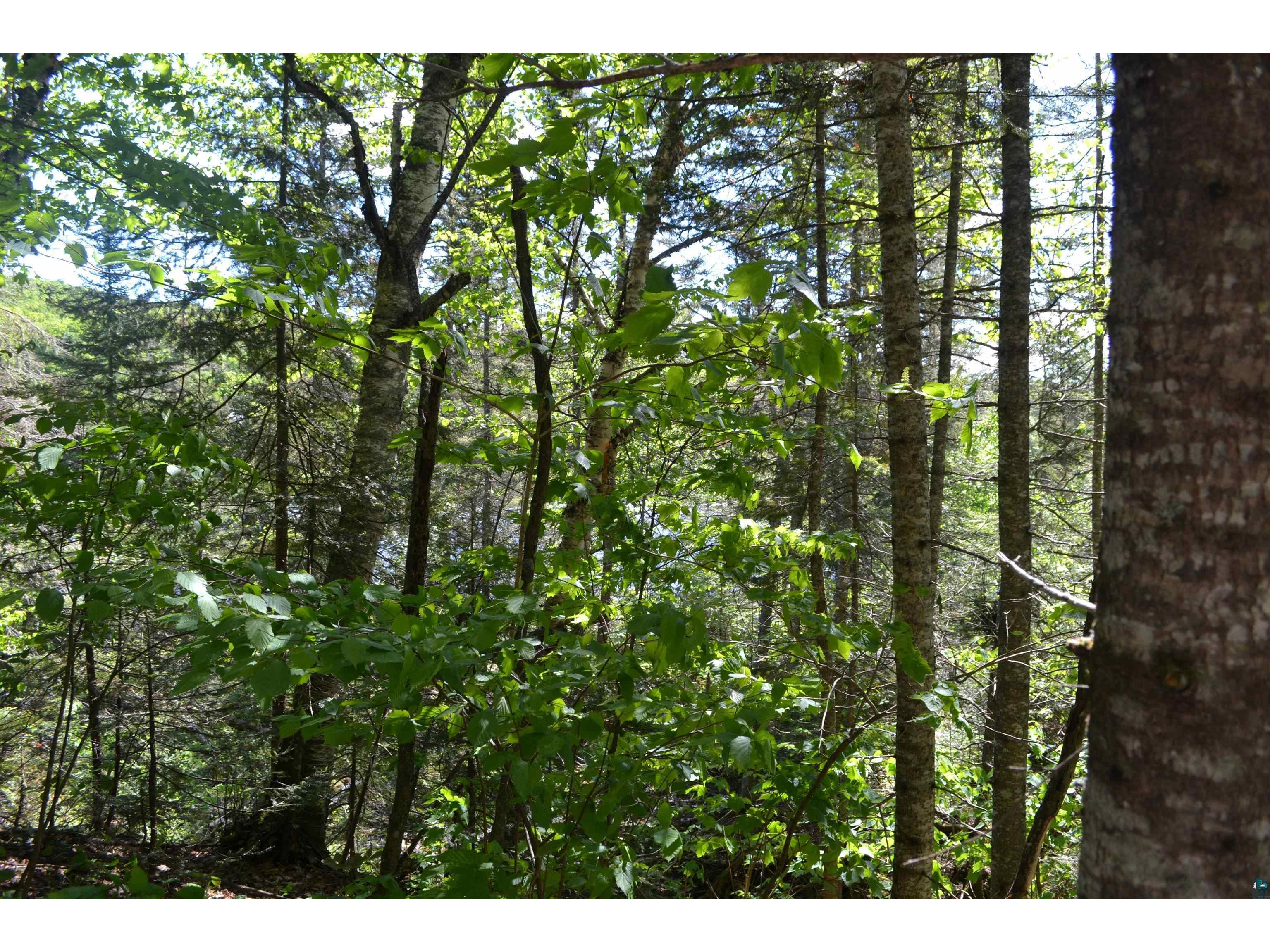 Lot 9 Sawmill Ln, Lutsen, MN, 55612 MLS 6111272 Edina Realty