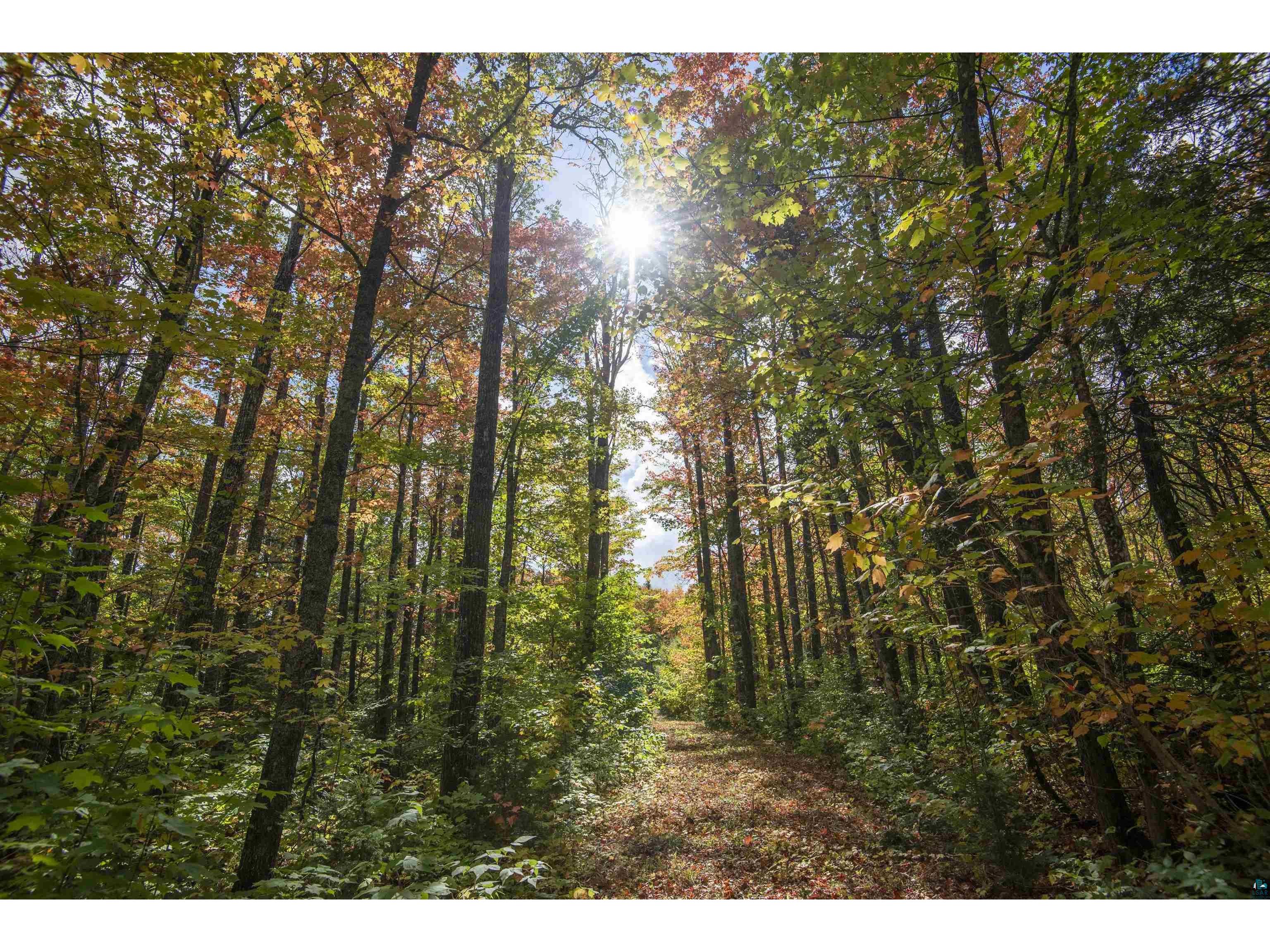 Lot 9 Victory Ln Grand Marais MN 55604 6116287 image1