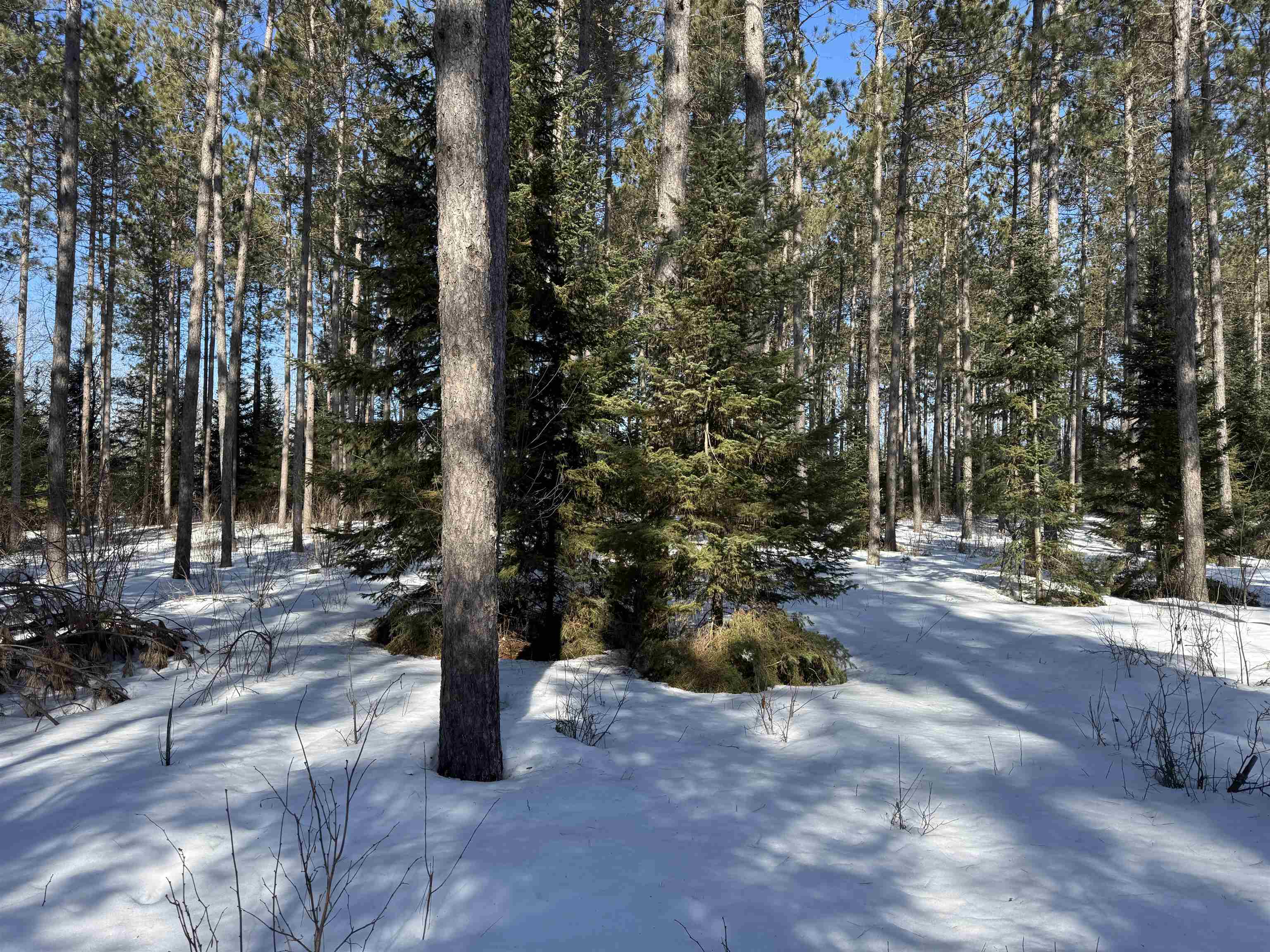 Lot 92 Haakon Ln Hayward WI 54843 6123689 image10
