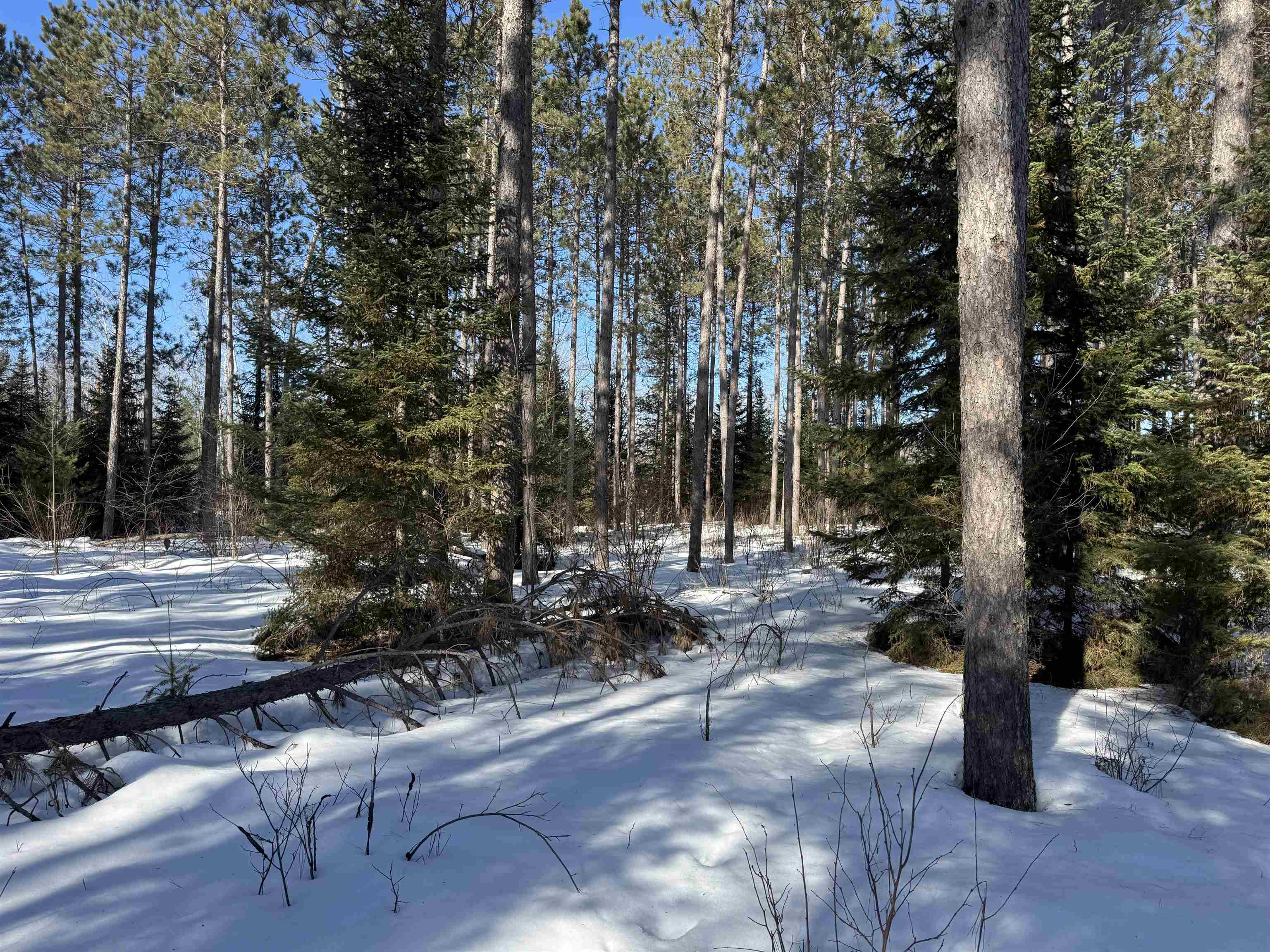Lot 92 Haakon Ln Hayward WI 54843 6123689 image11