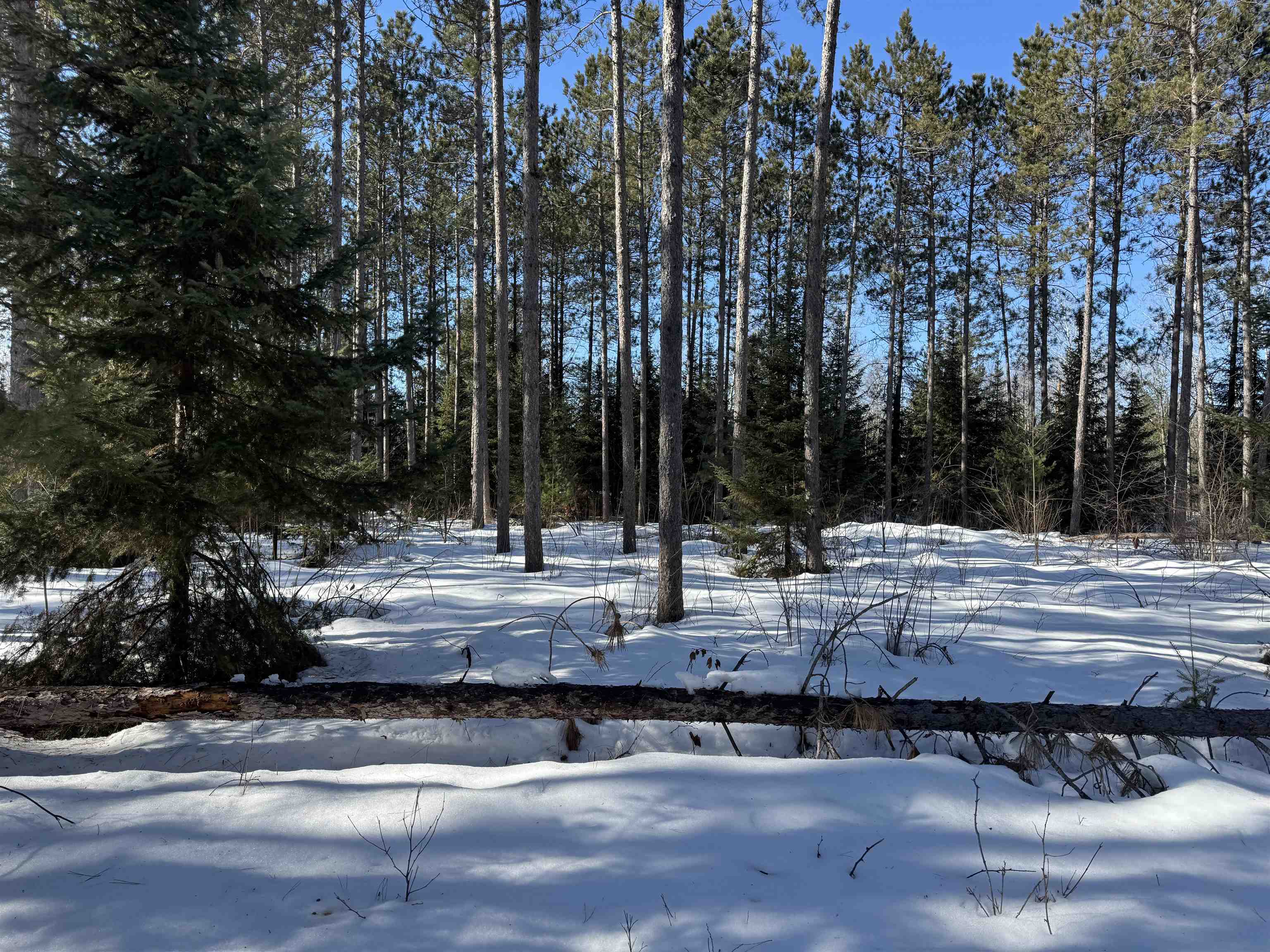Lot 92 Haakon Ln Hayward WI 54843 6123689 image13