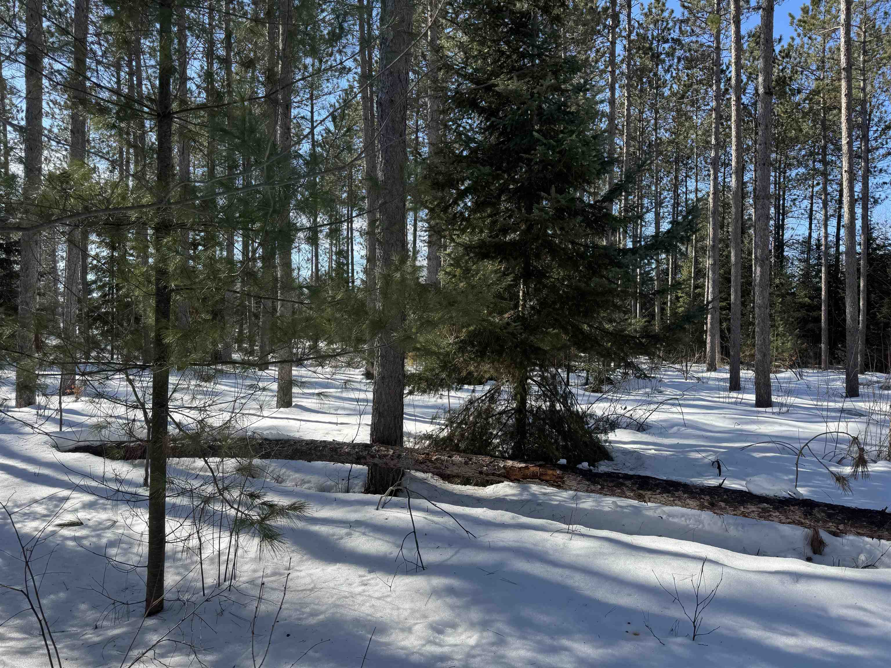 Lot 92 Haakon Ln Hayward WI 54843 6123689 image14