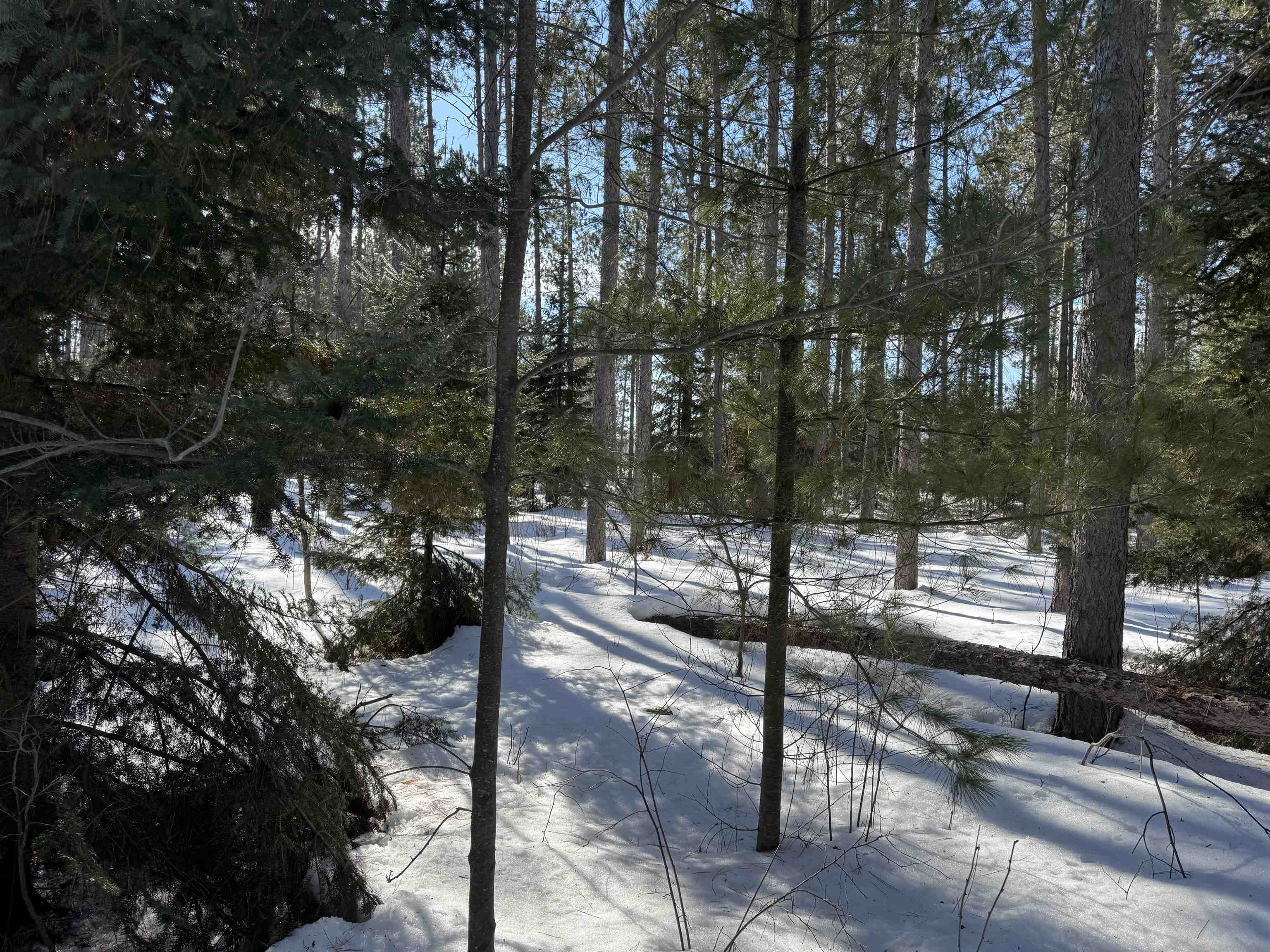 Lot 92 Haakon Ln Hayward WI 54843 6123689 image15