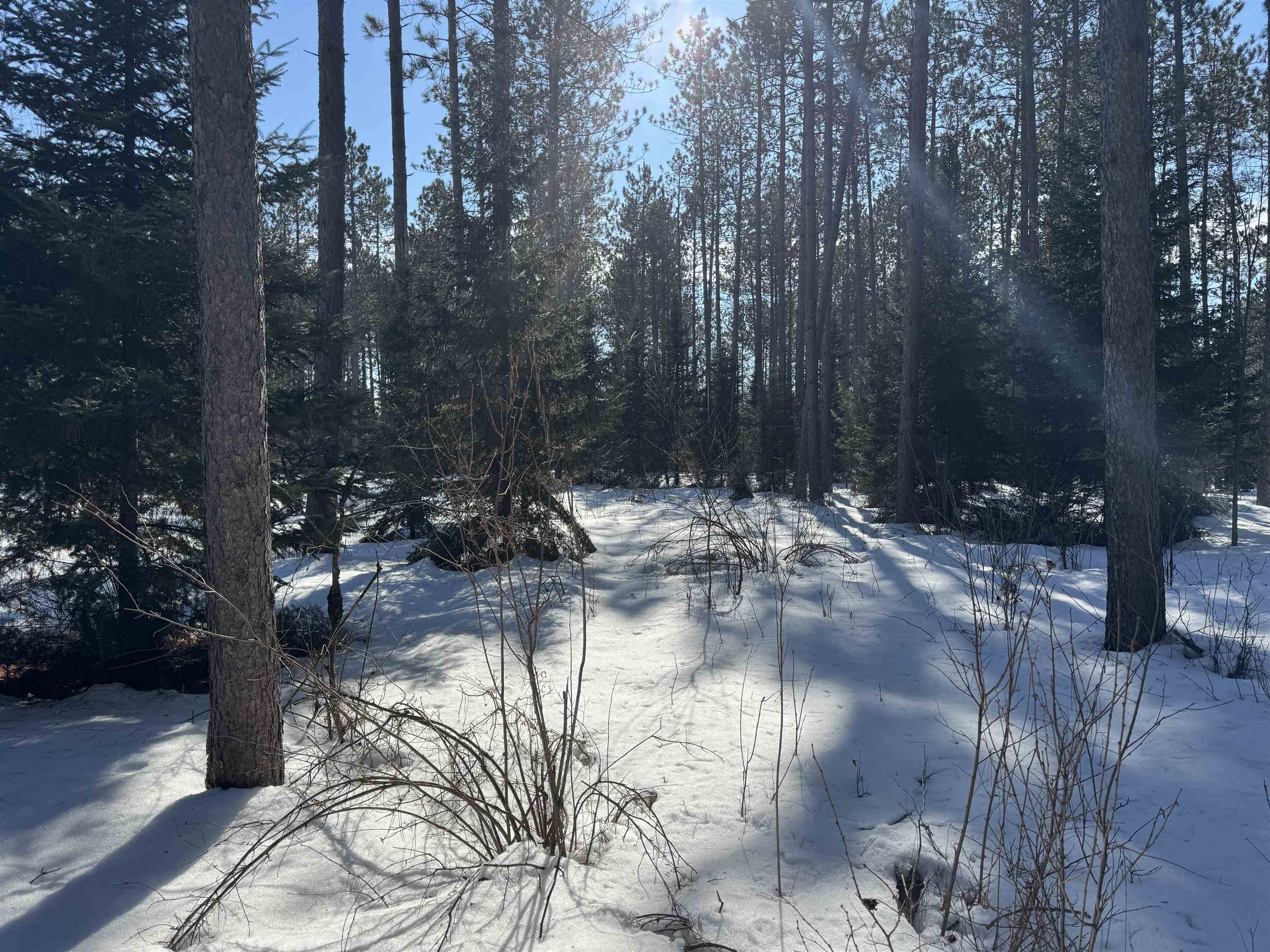 Lot 92 Haakon Ln Hayward WI 54843 6123689 image16