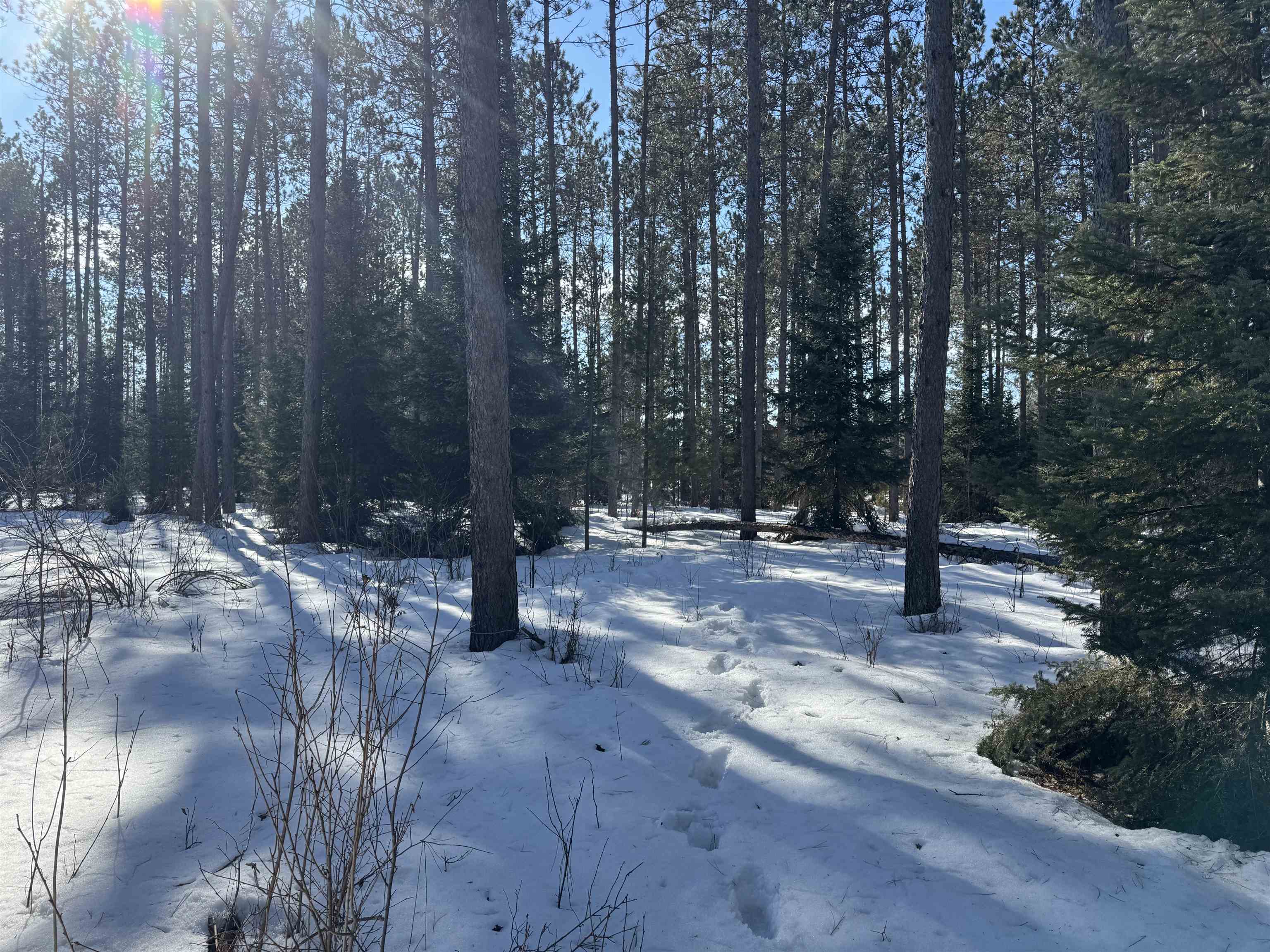 Lot 92 Haakon Ln Hayward WI 54843 6123689 image17
