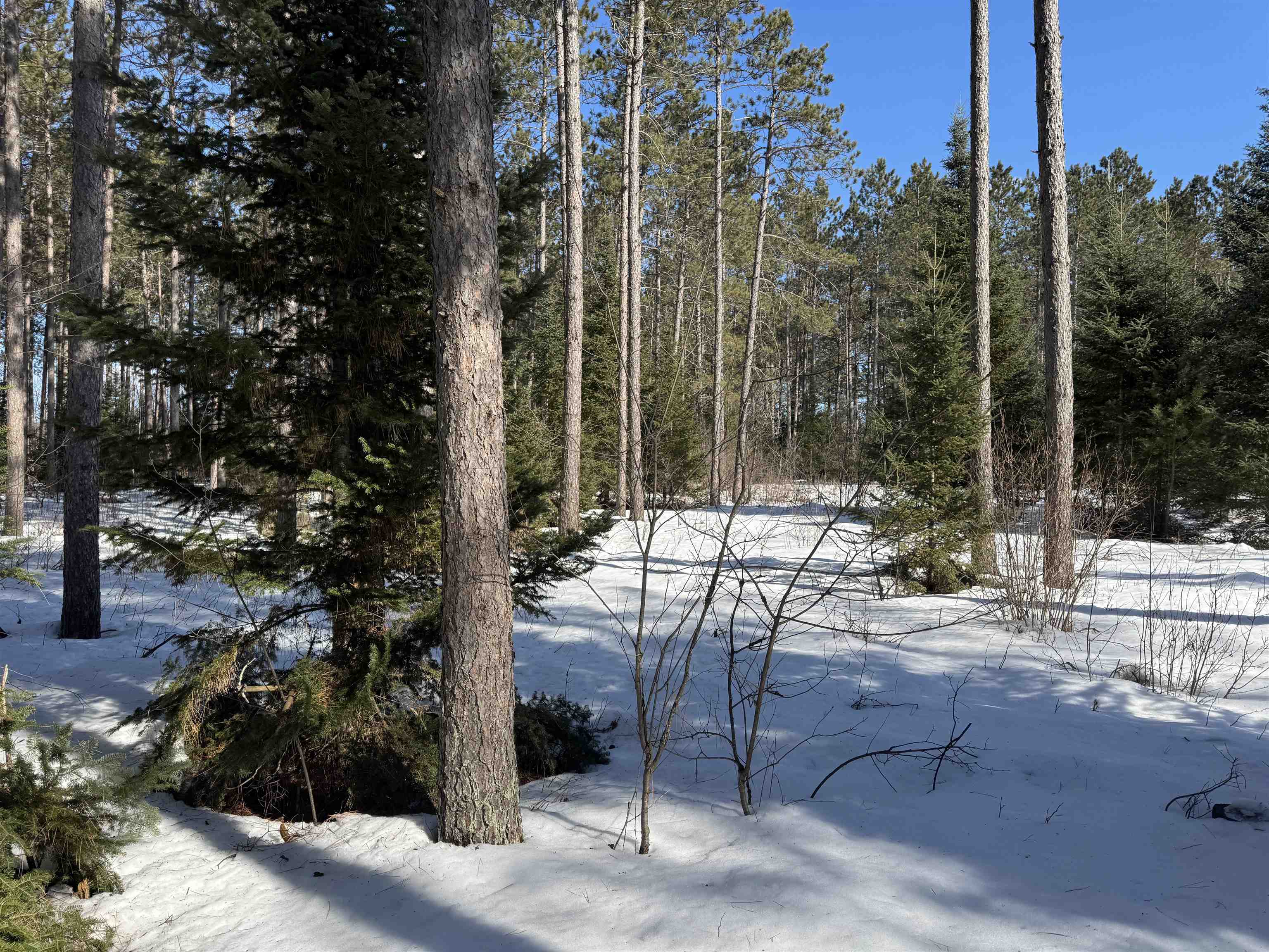 Lot 92 Haakon Ln Hayward WI 54843 6123689 image18