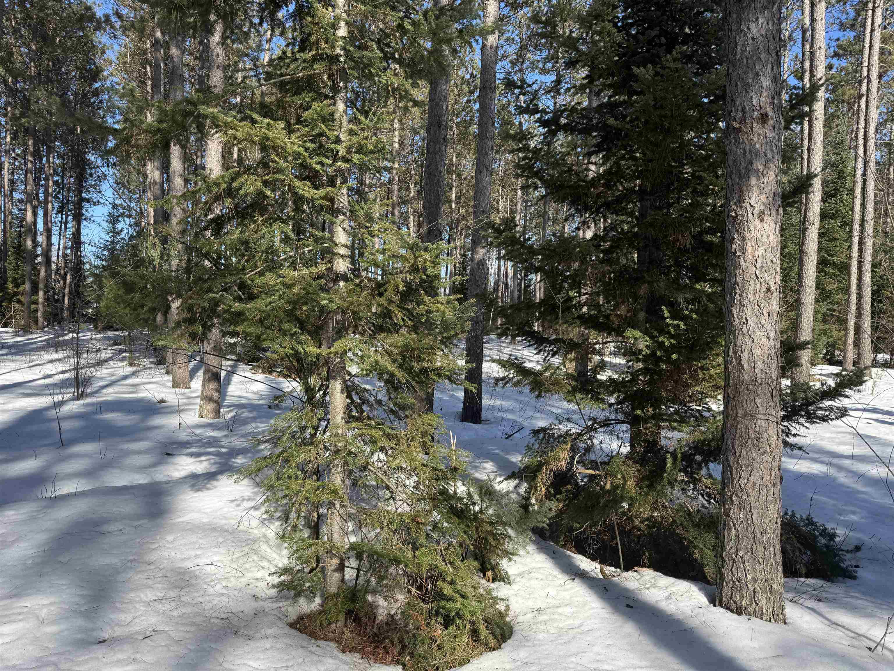Lot 92 Haakon Ln Hayward WI 54843 6123689 image19