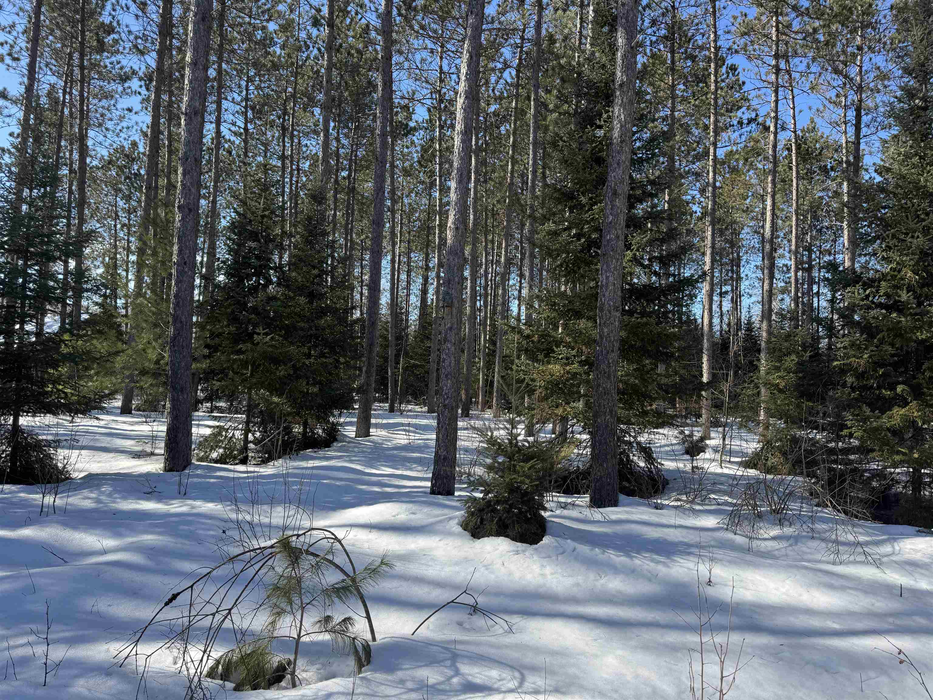Lot 92 Haakon Ln Hayward WI 54843 6123689 image2