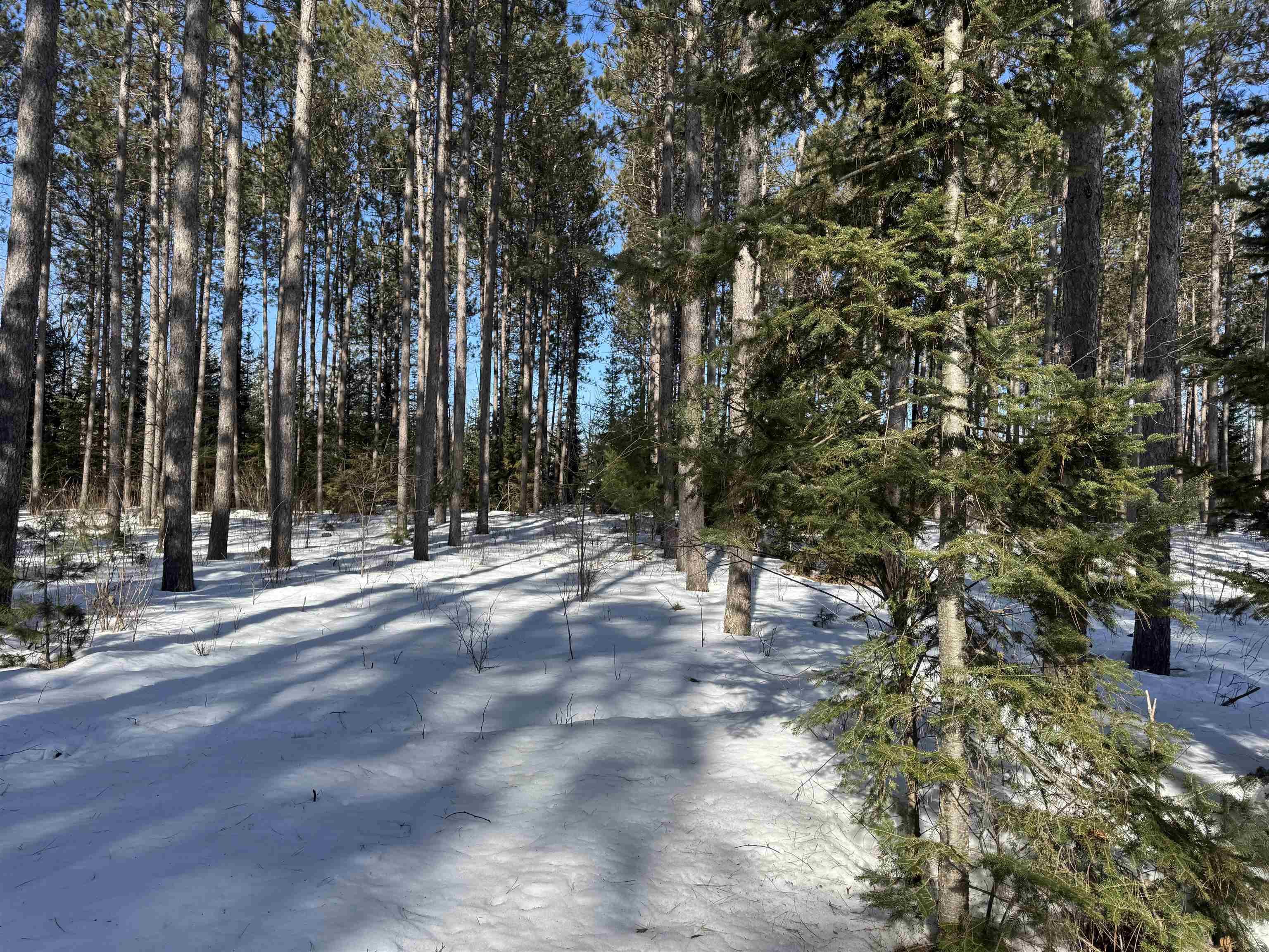 Lot 92 Haakon Ln Hayward WI 54843 6123689 image20