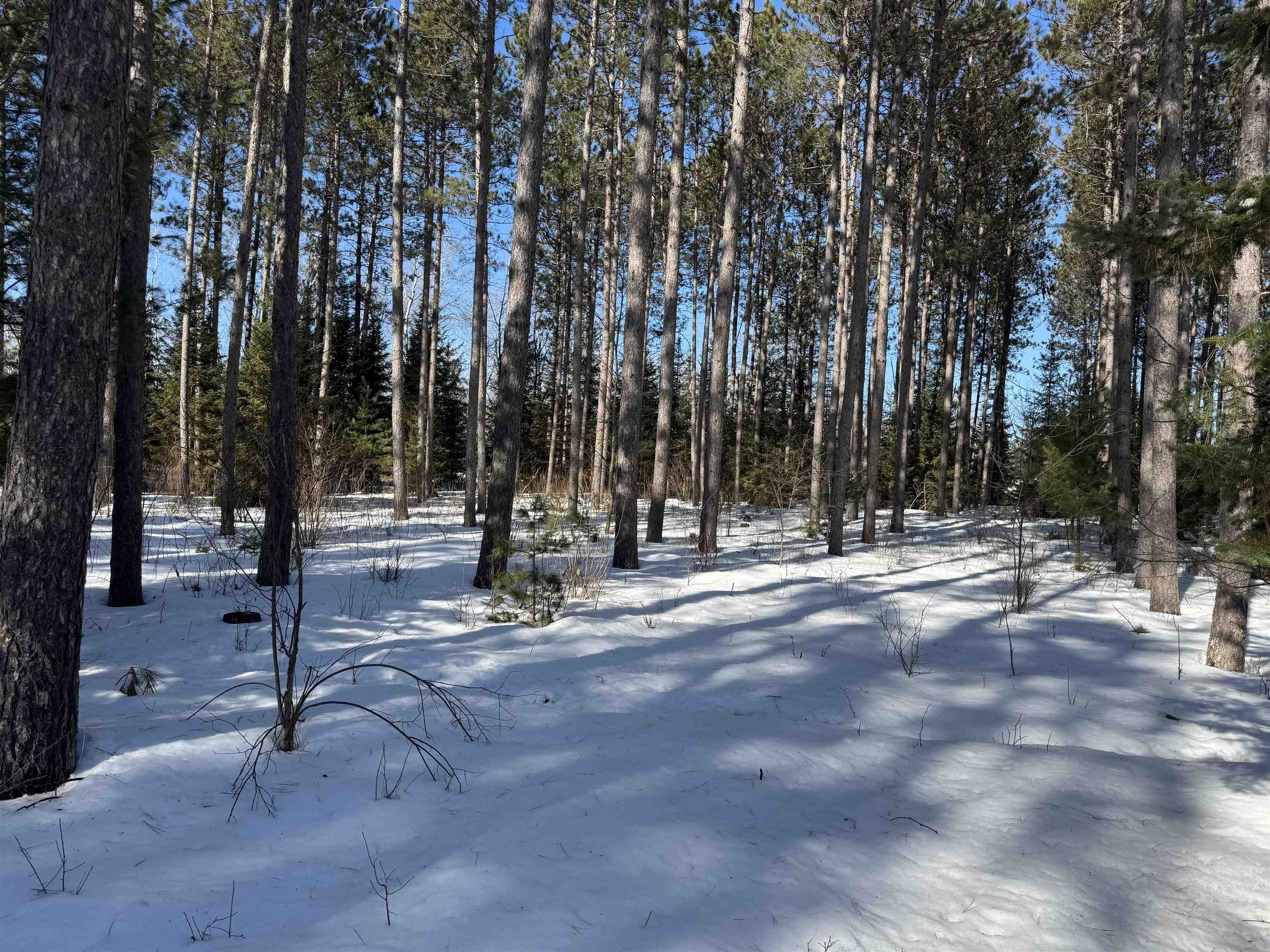 Lot 92 Haakon Ln Hayward WI 54843 6123689 image21