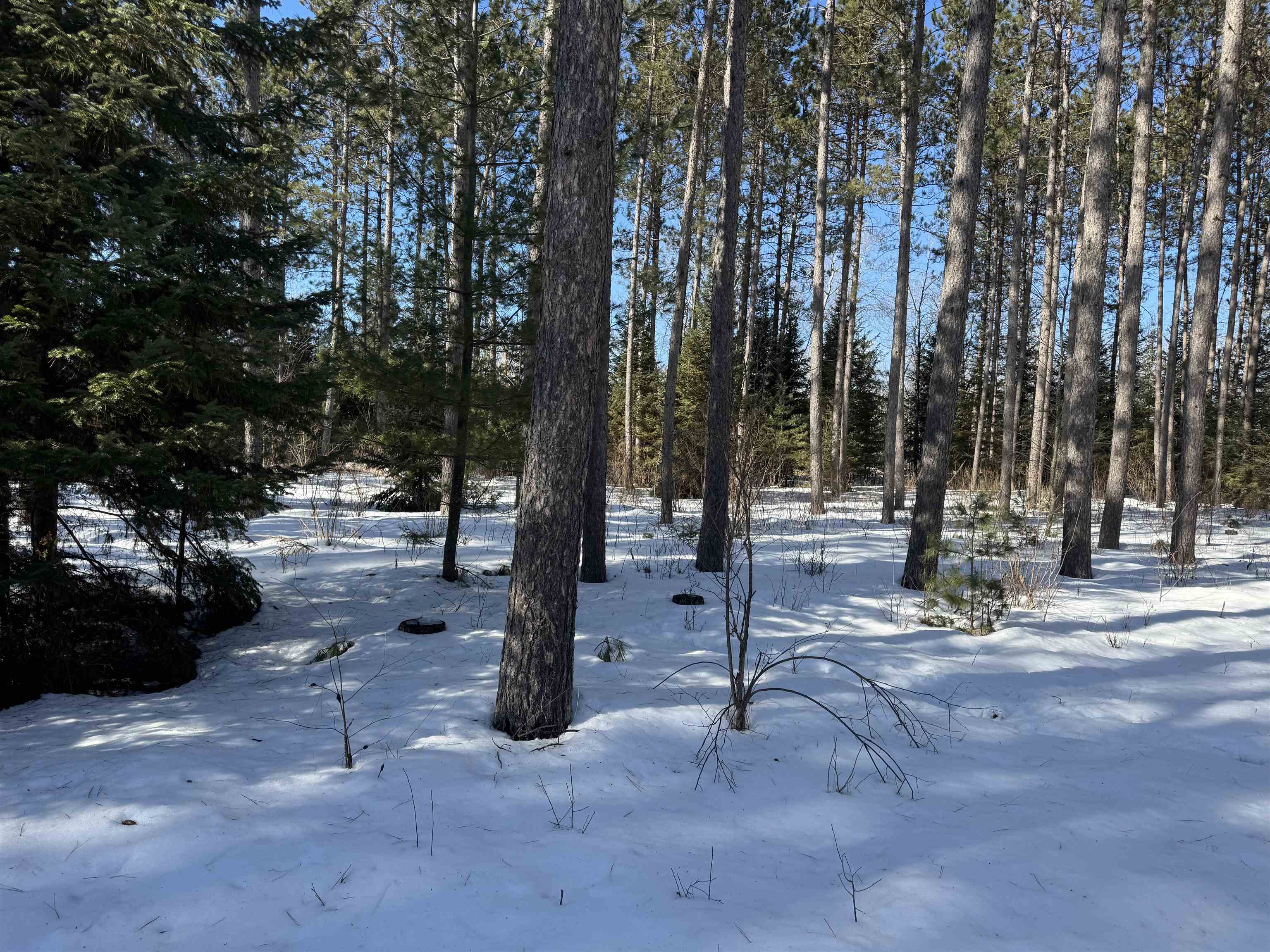 Lot 92 Haakon Ln Hayward WI 54843 6123689 image22