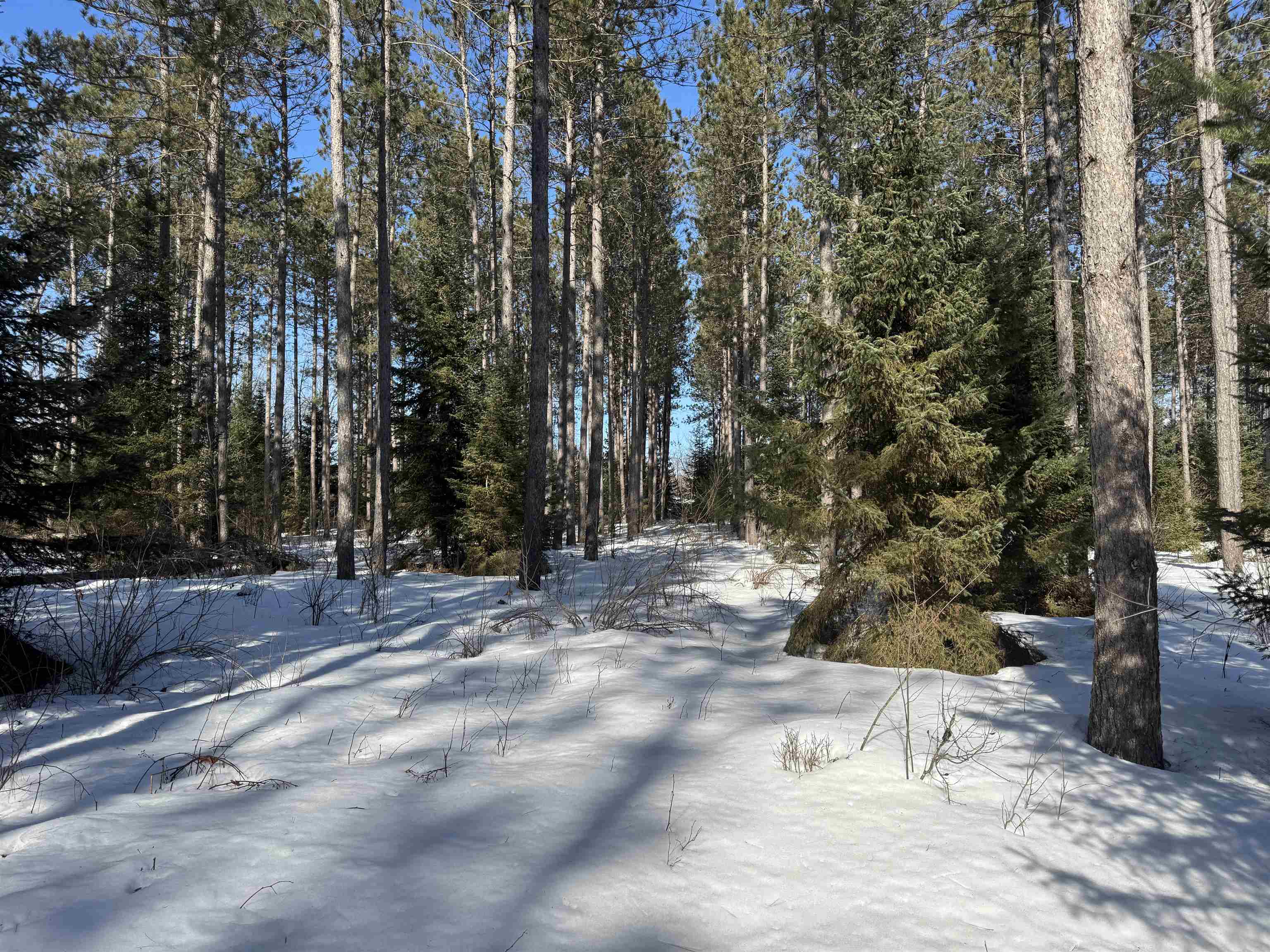 Lot 92 Haakon Ln Hayward WI 54843 6123689 image3