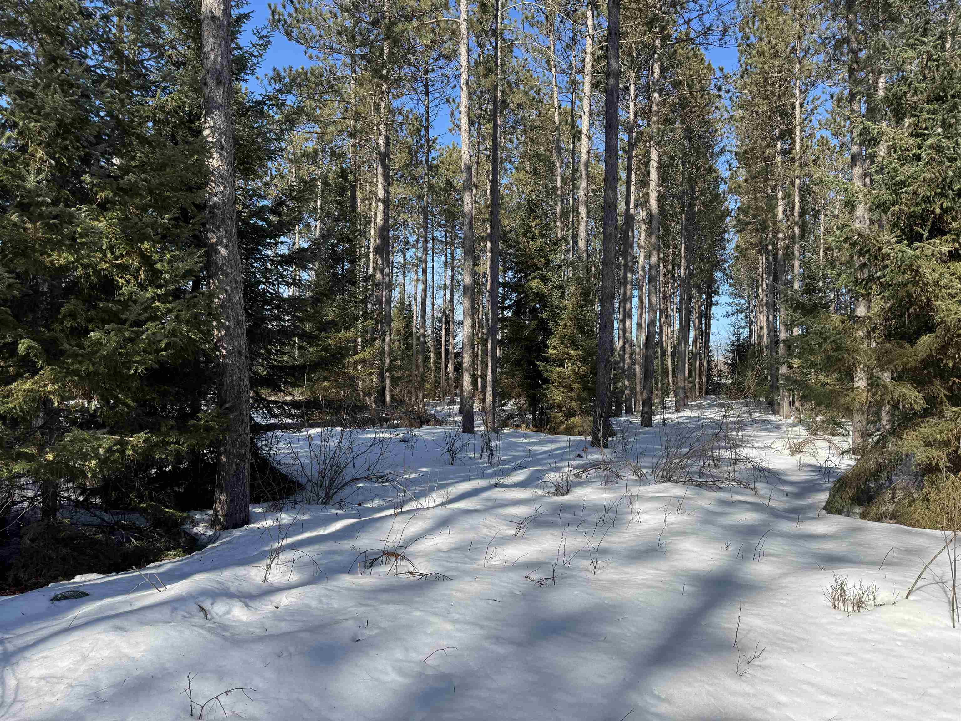 Lot 92 Haakon Ln Hayward WI 54843 6123689 image4