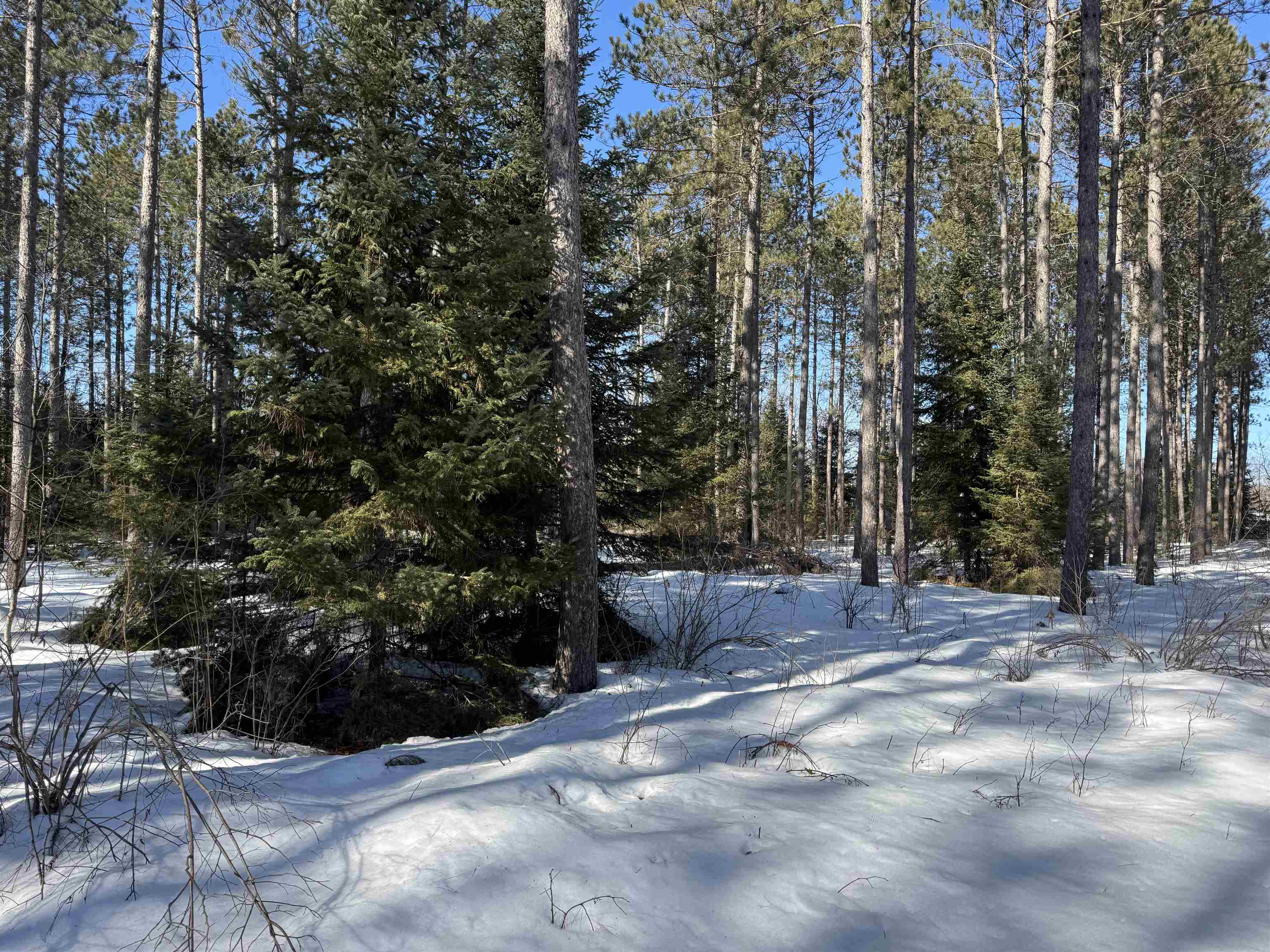 Lot 92 Haakon Ln Hayward WI 54843 6123689 image5
