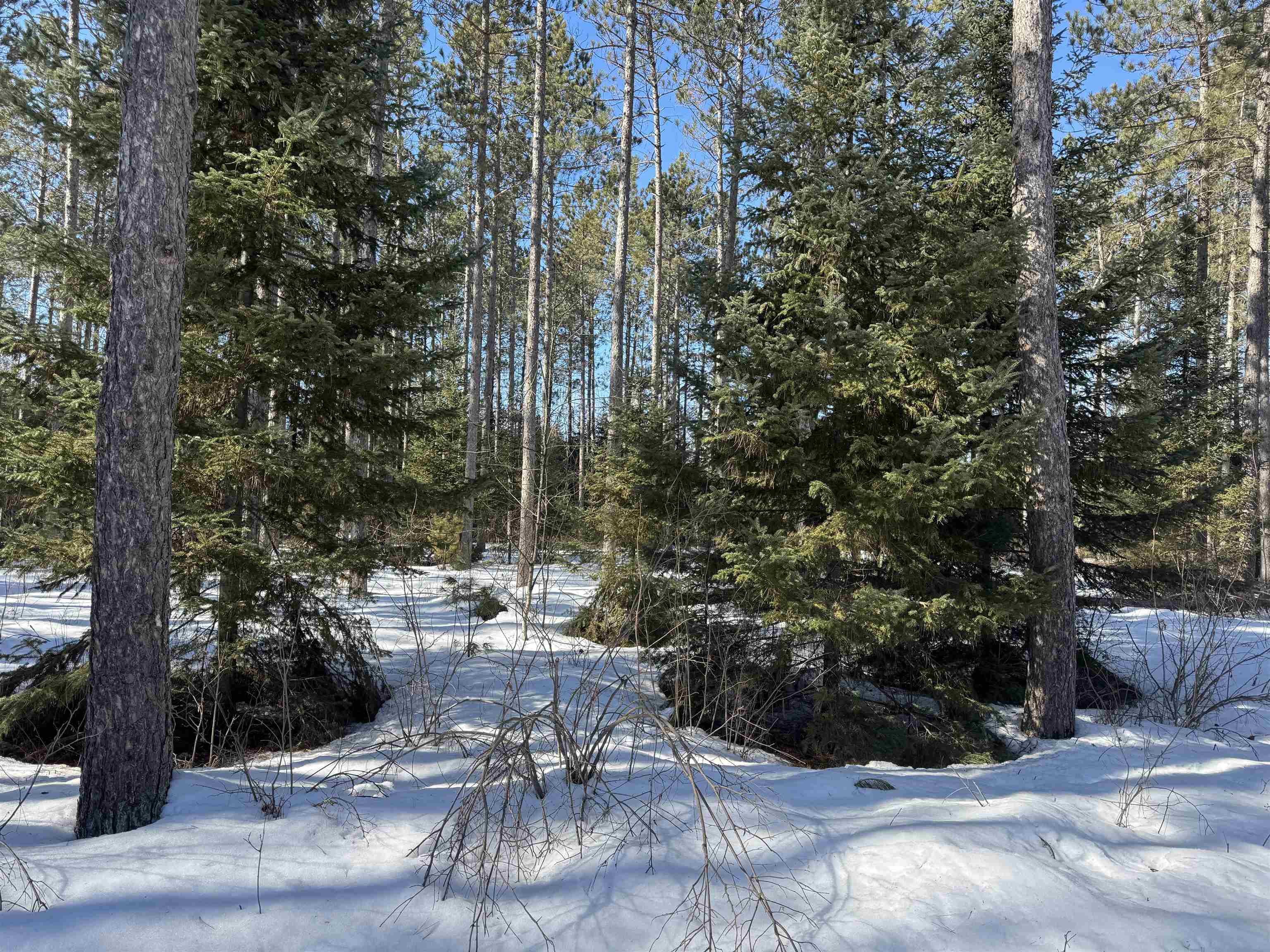 Lot 92 Haakon Ln Hayward WI 54843 6123689 image6