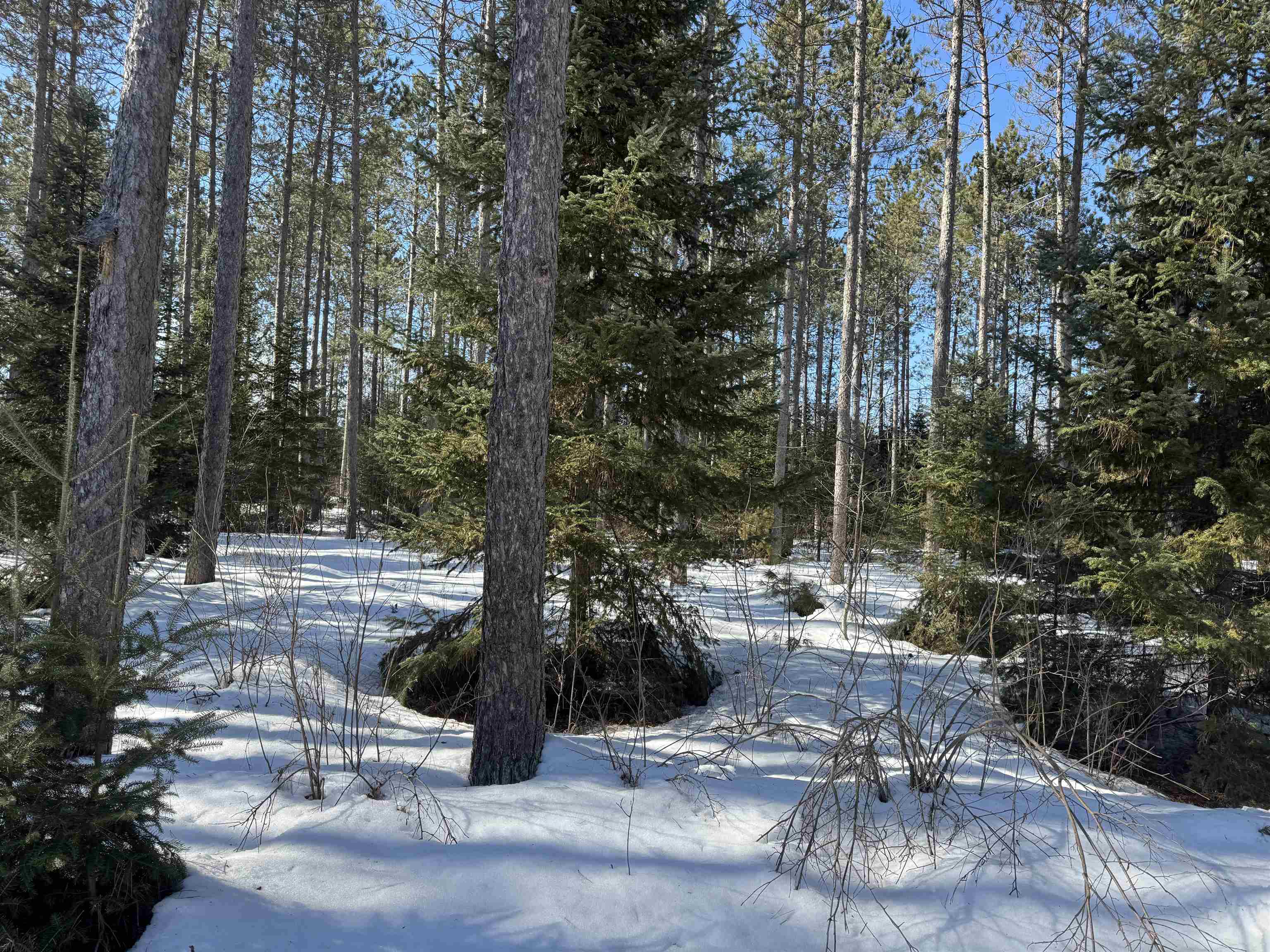 Lot 92 Haakon Ln Hayward WI 54843 6123689 image7