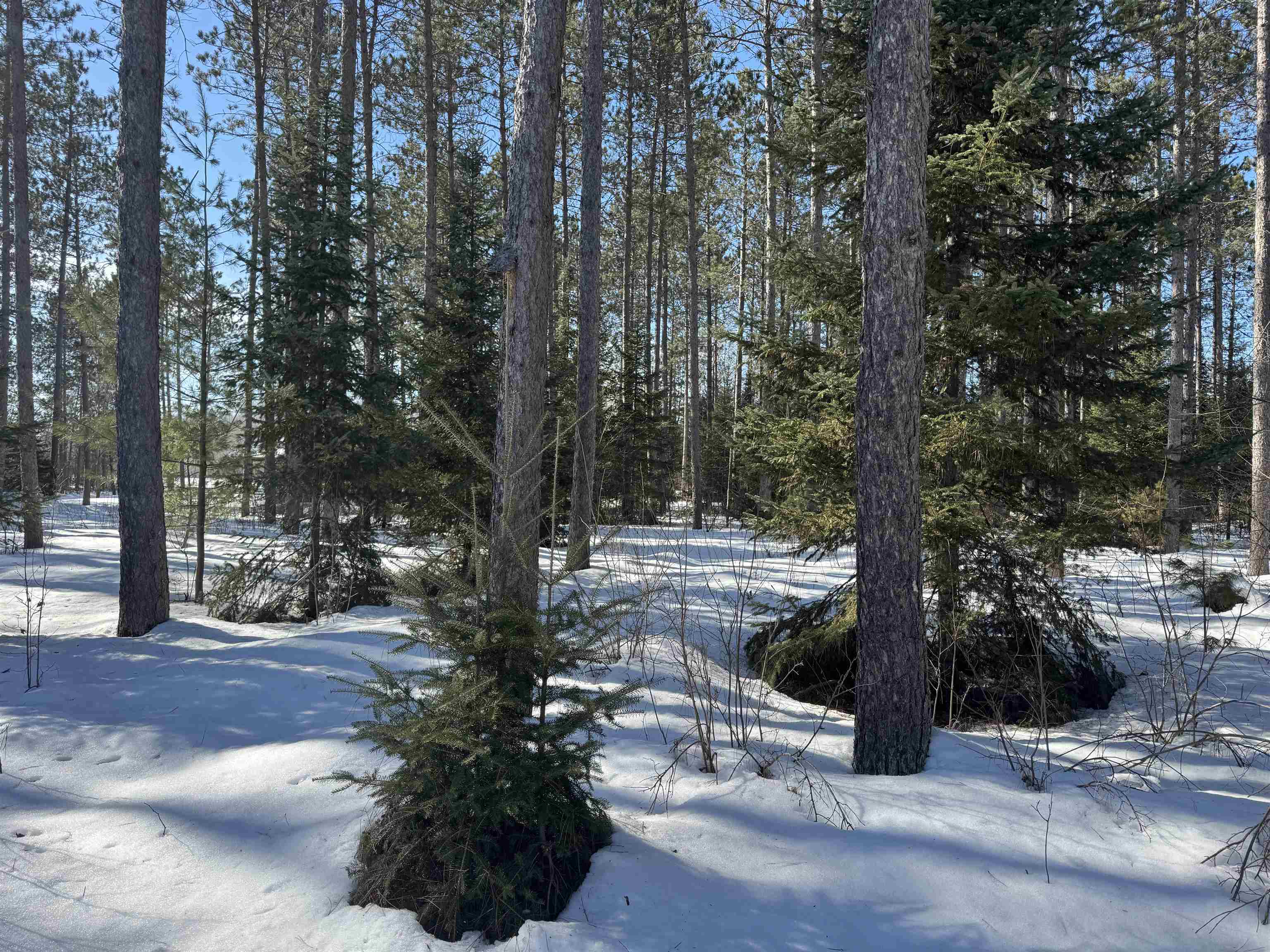 Lot 92 Haakon Ln Hayward WI 54843 6123689 image8