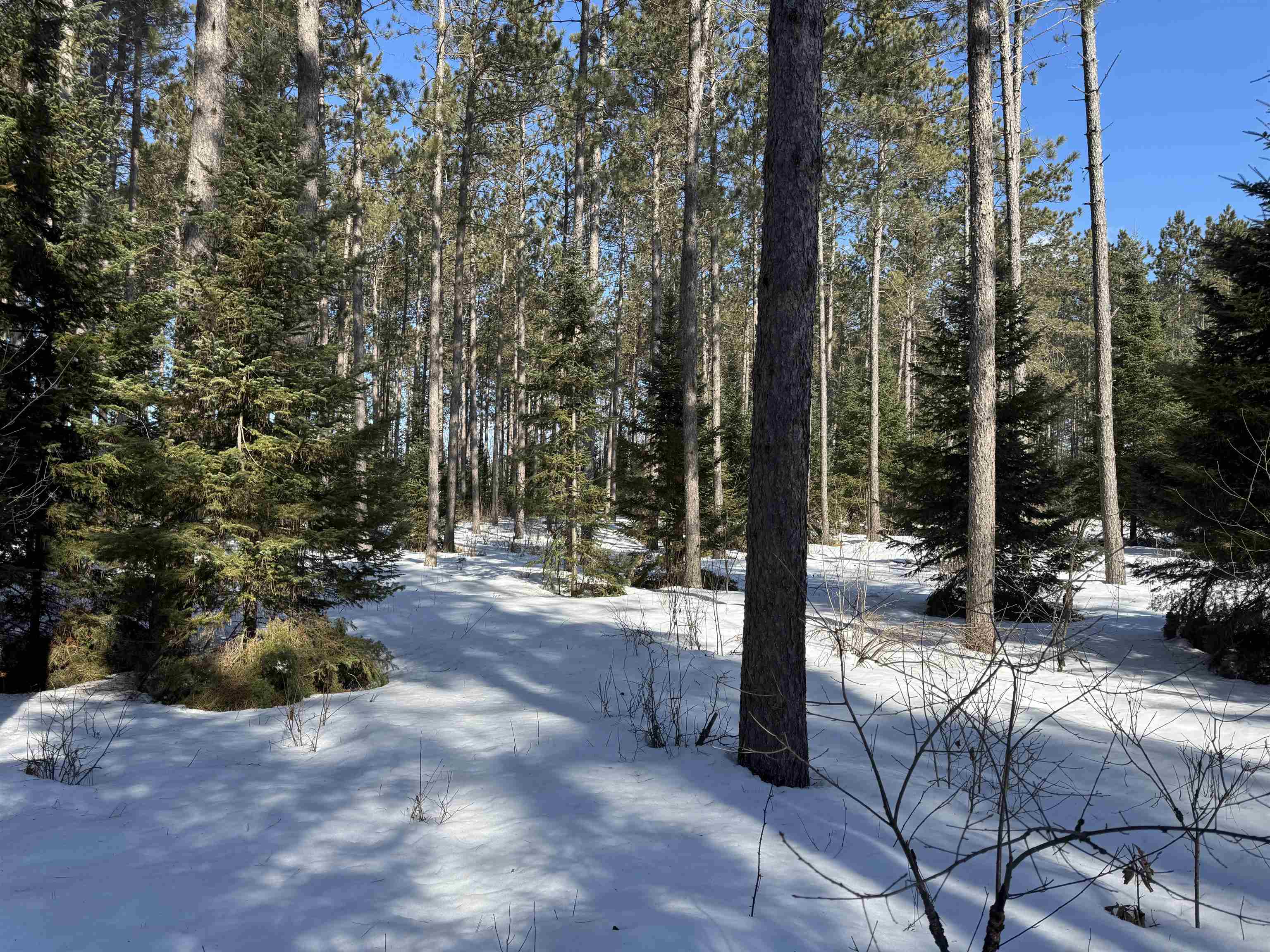 Lot 92 Haakon Ln Hayward WI 54843 6123689 image9