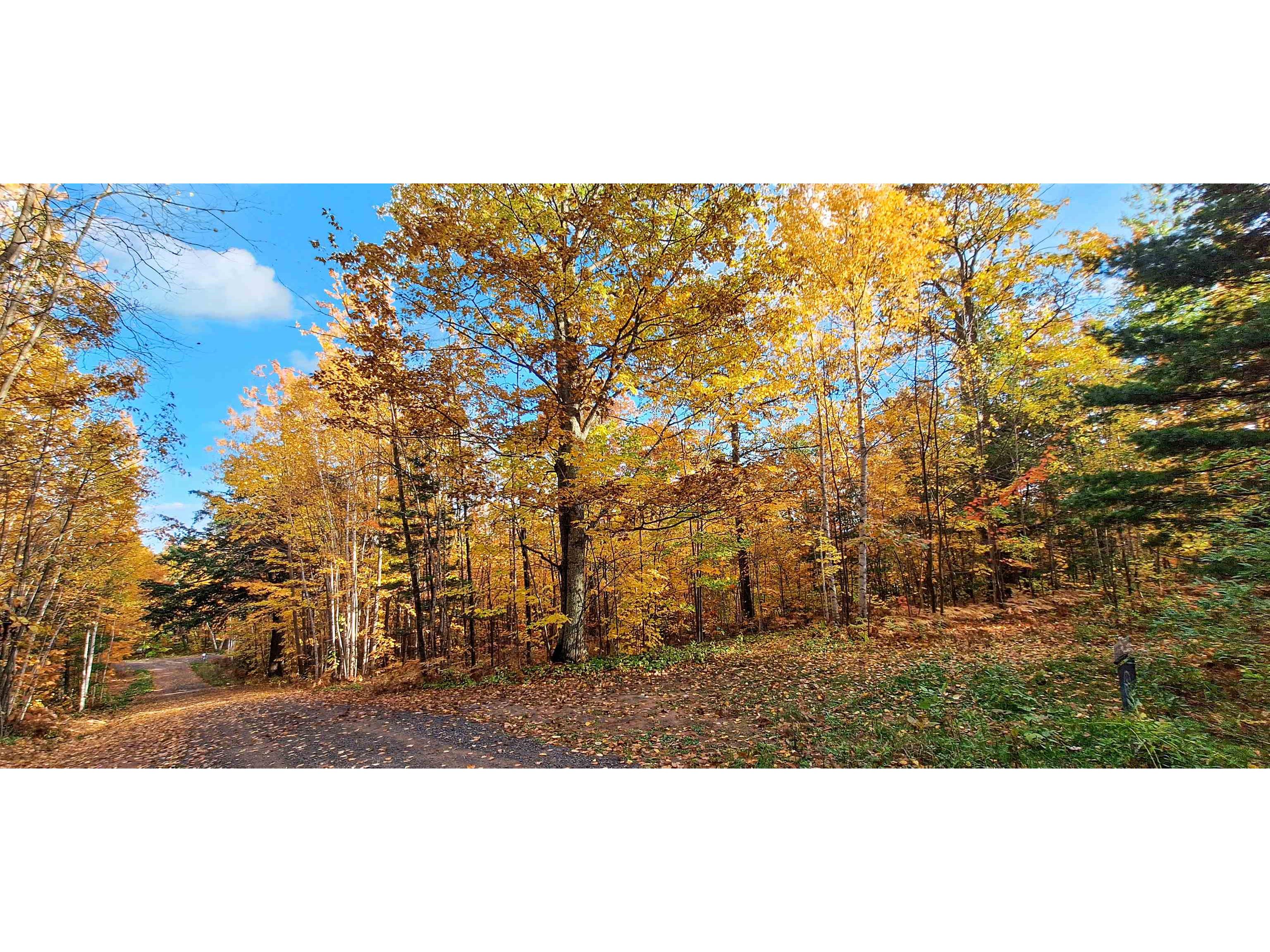 Lot Z Apple Hill Rd Bayfield WI 54814 6120407 image1