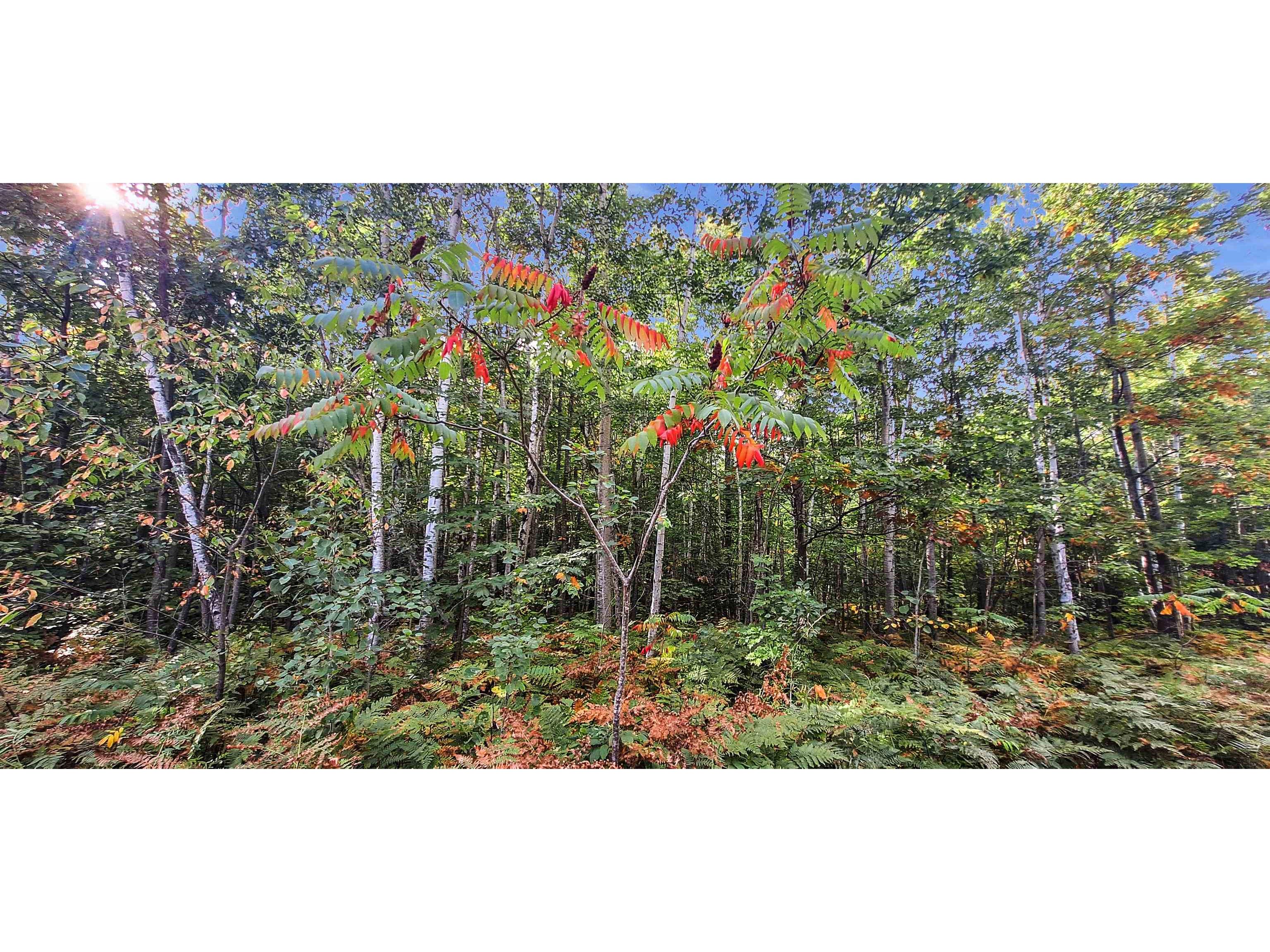 Lot Z Apple Hill Rd Bayfield WI 54814 6120407 image10