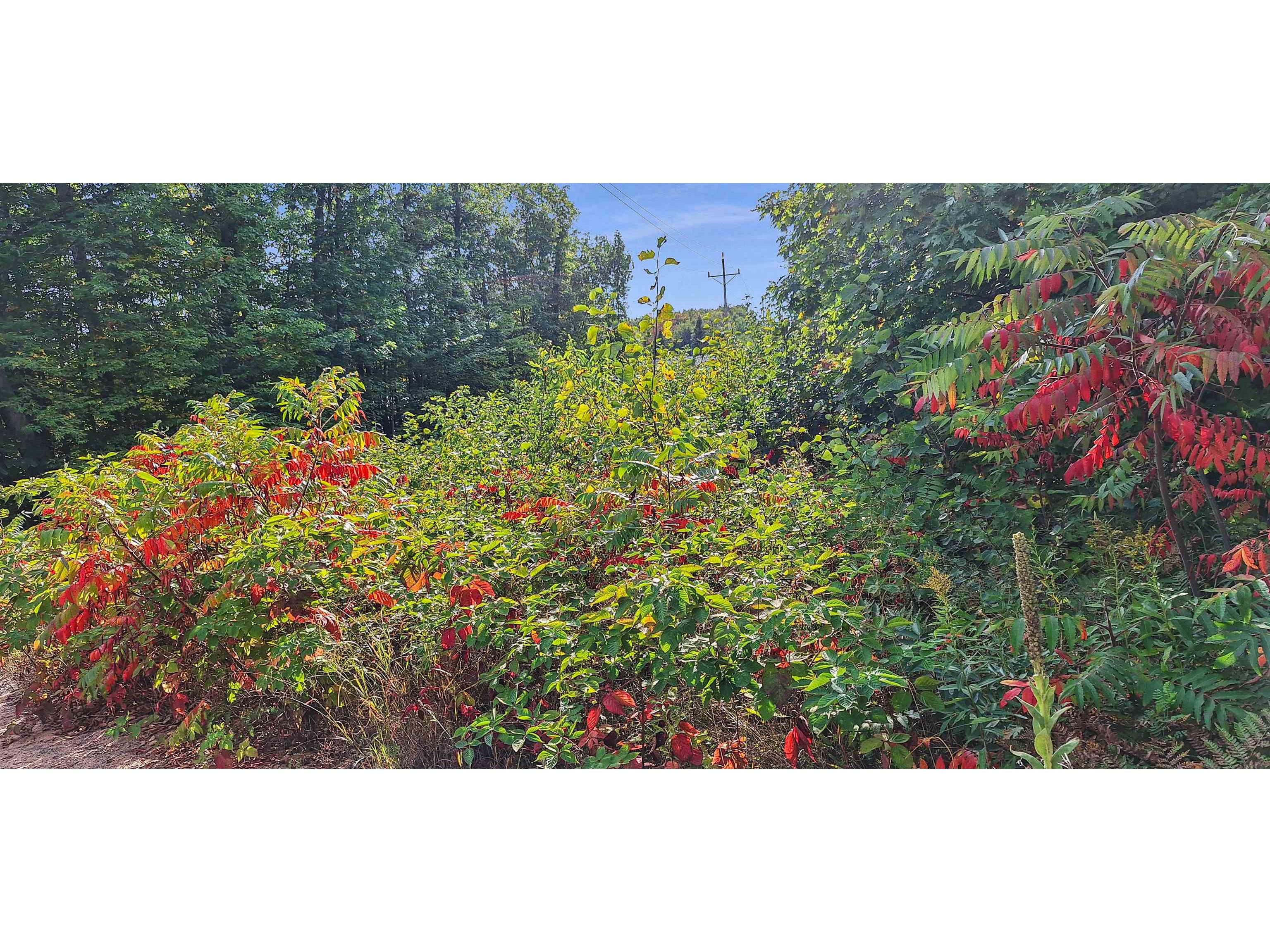 Lot Z Apple Hill Rd Bayfield WI 54814 6120407 image11