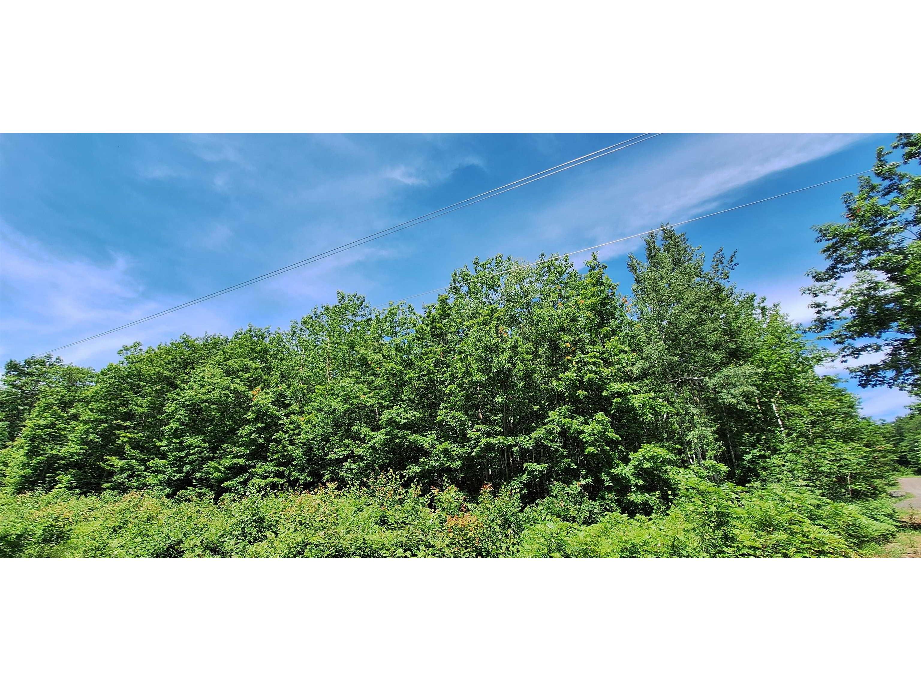 Lot Z Apple Hill Rd Bayfield WI 54814 6120407 image12