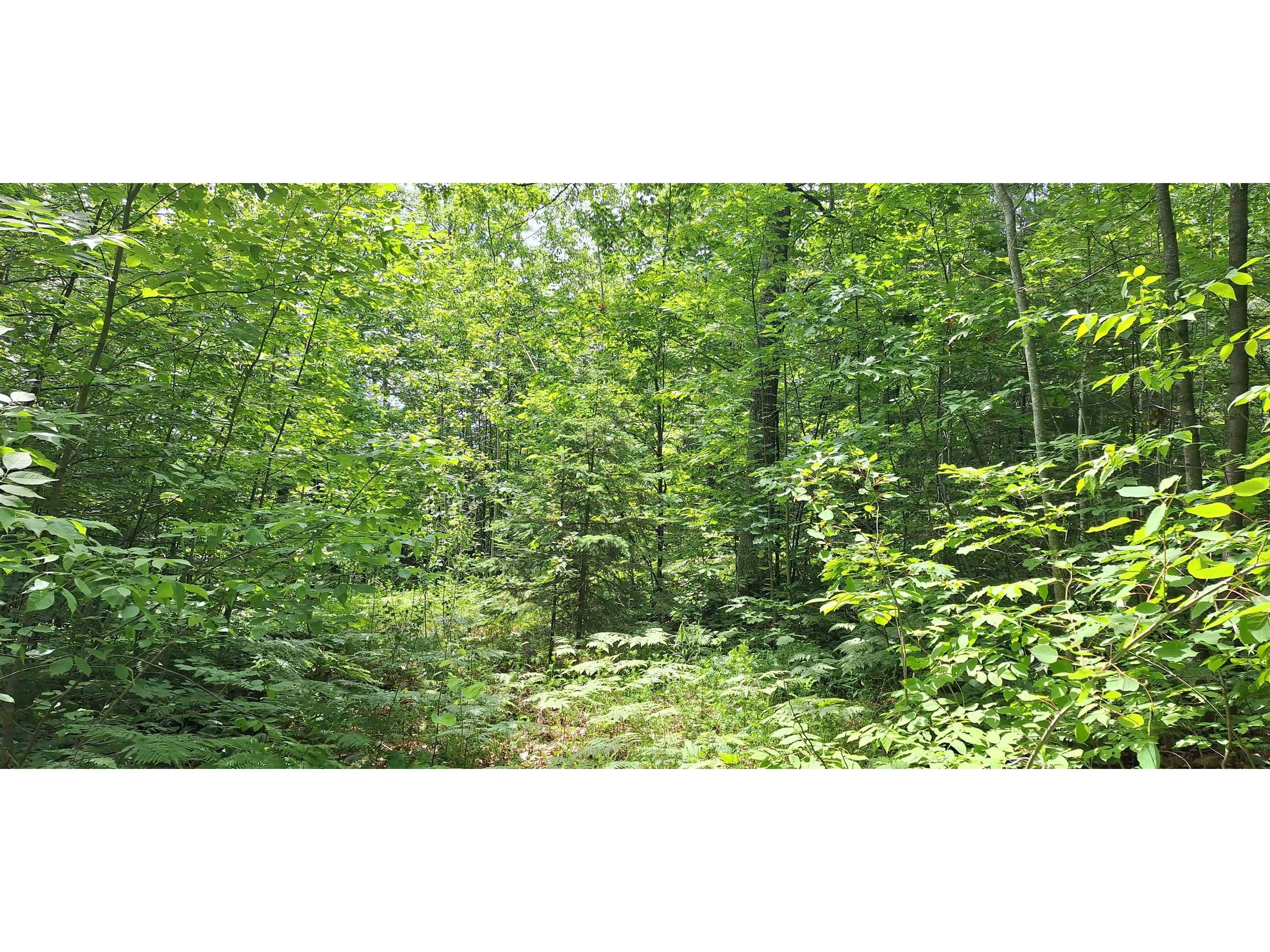 Lot Z Apple Hill Rd Bayfield WI 54814 6120407 image14
