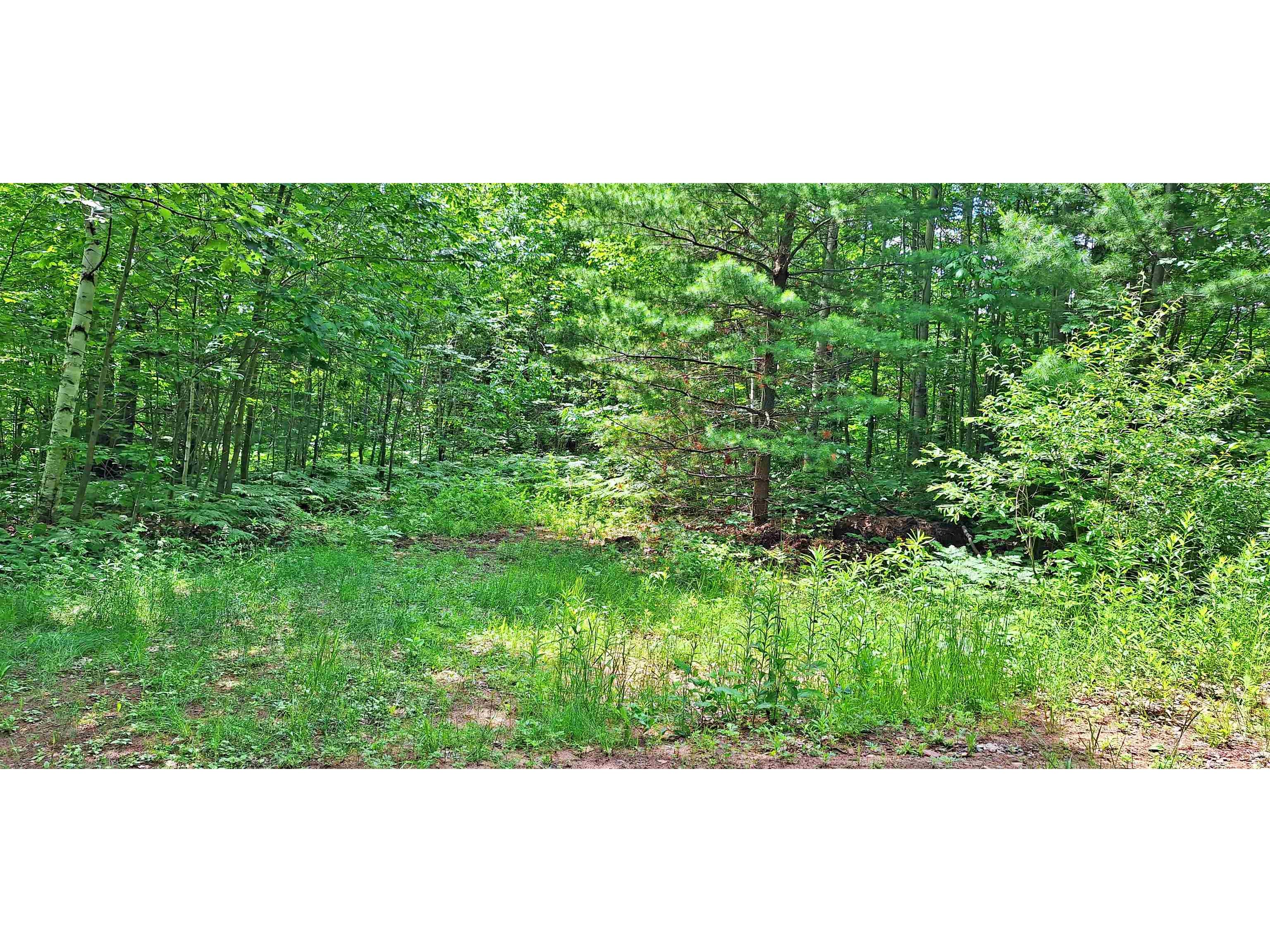 Lot Z Apple Hill Rd Bayfield WI 54814 6120407 image15