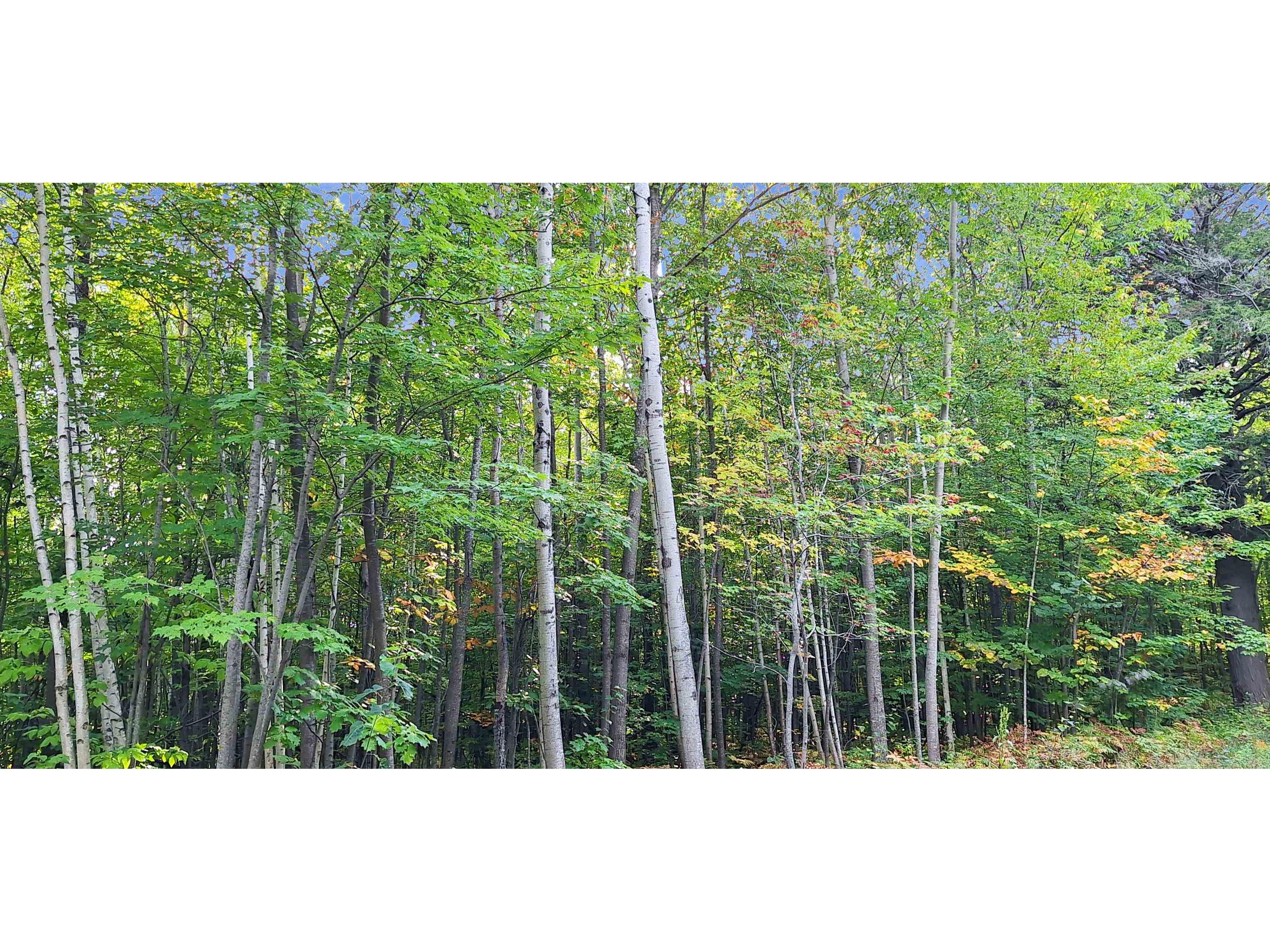 Lot Z Apple Hill Rd Bayfield WI 54814 6120407 image16